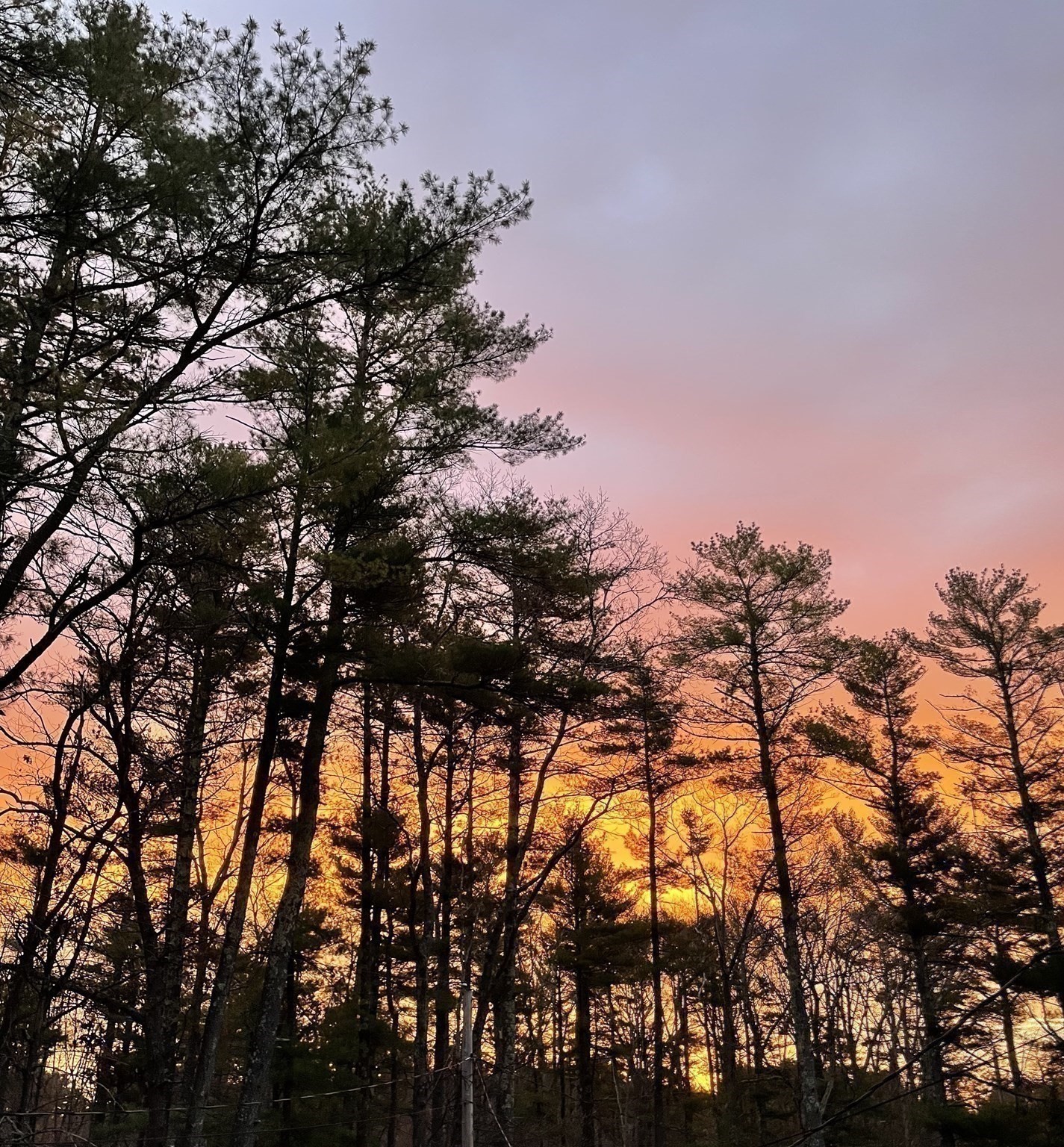 61 Chapel St, Pembroke, MA 02359 - Image 39