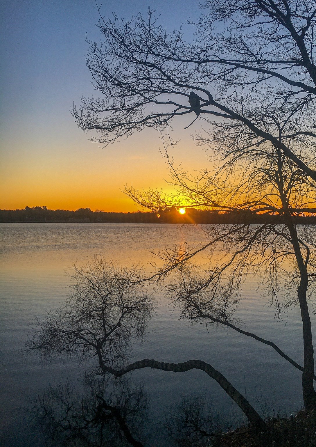 127 King Philip Road, Norton, MA 02766 - Image 35