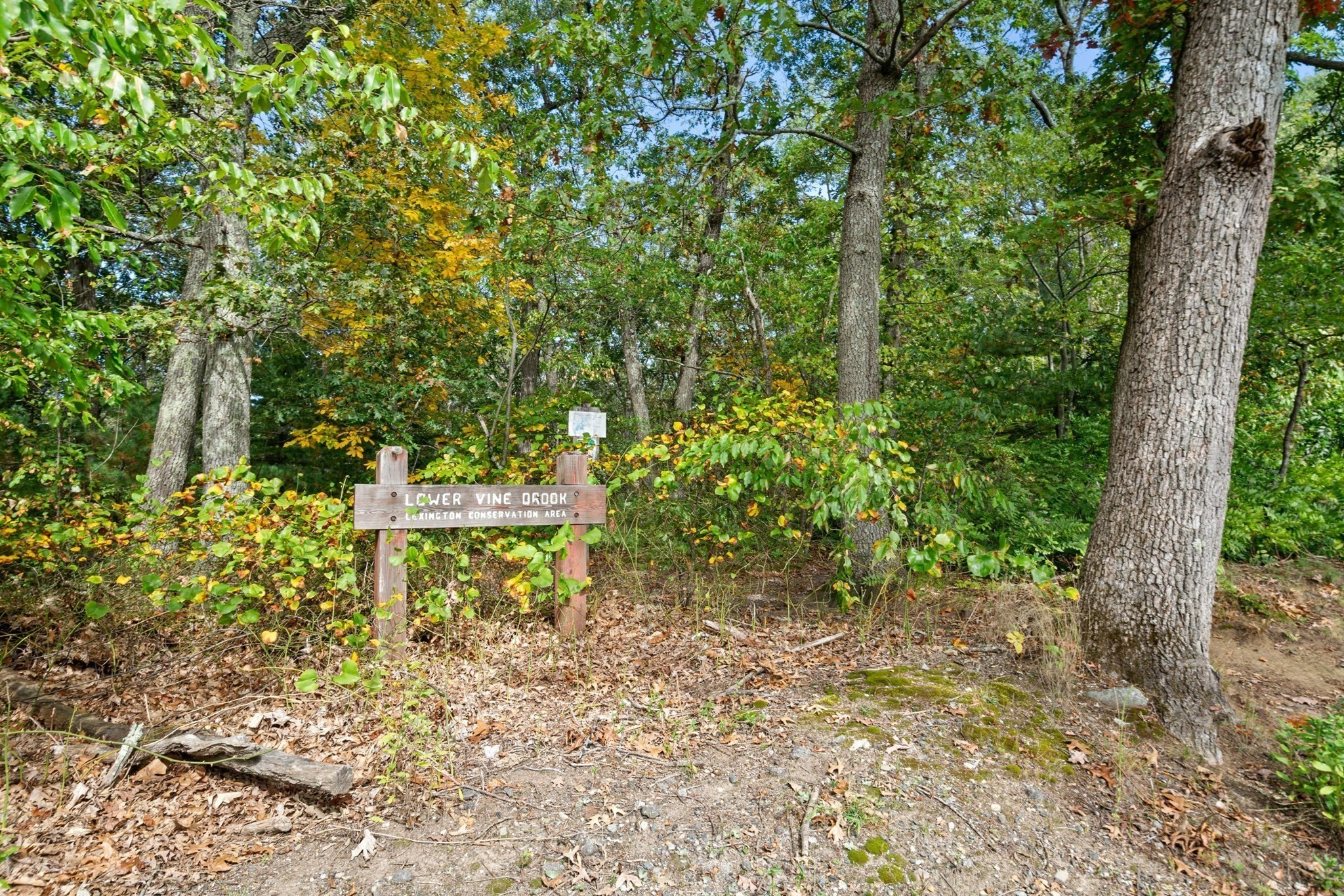 71 Webb Street, Lexington, MA 02420