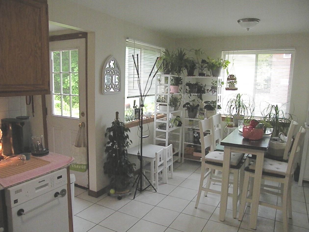 12 Concord Avenue, Canton, MA 02021 - Image 7