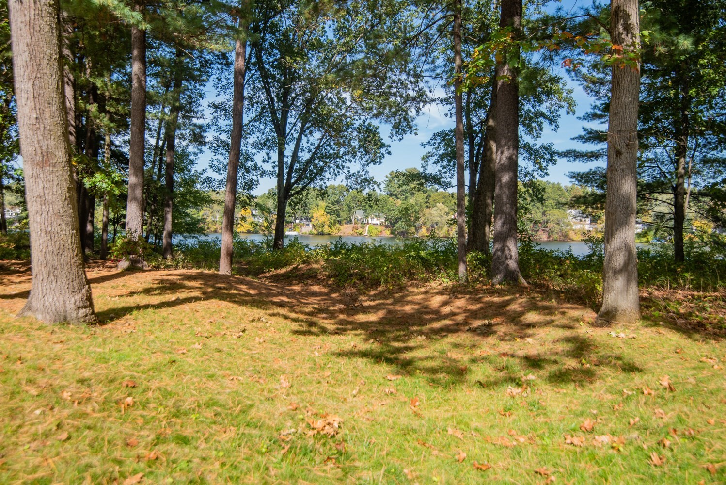 271 Wellman Ave Unit 271, Chelmsford, MA 01863 - Image 37