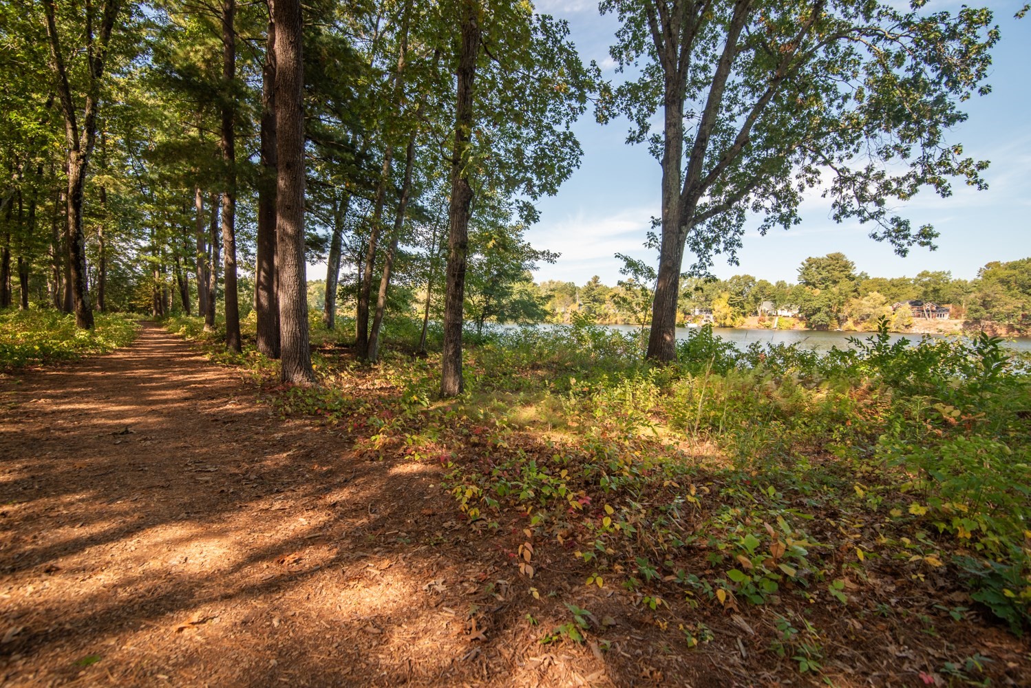 271 Wellman Ave Unit 271, Chelmsford, MA 01863 - Image 41