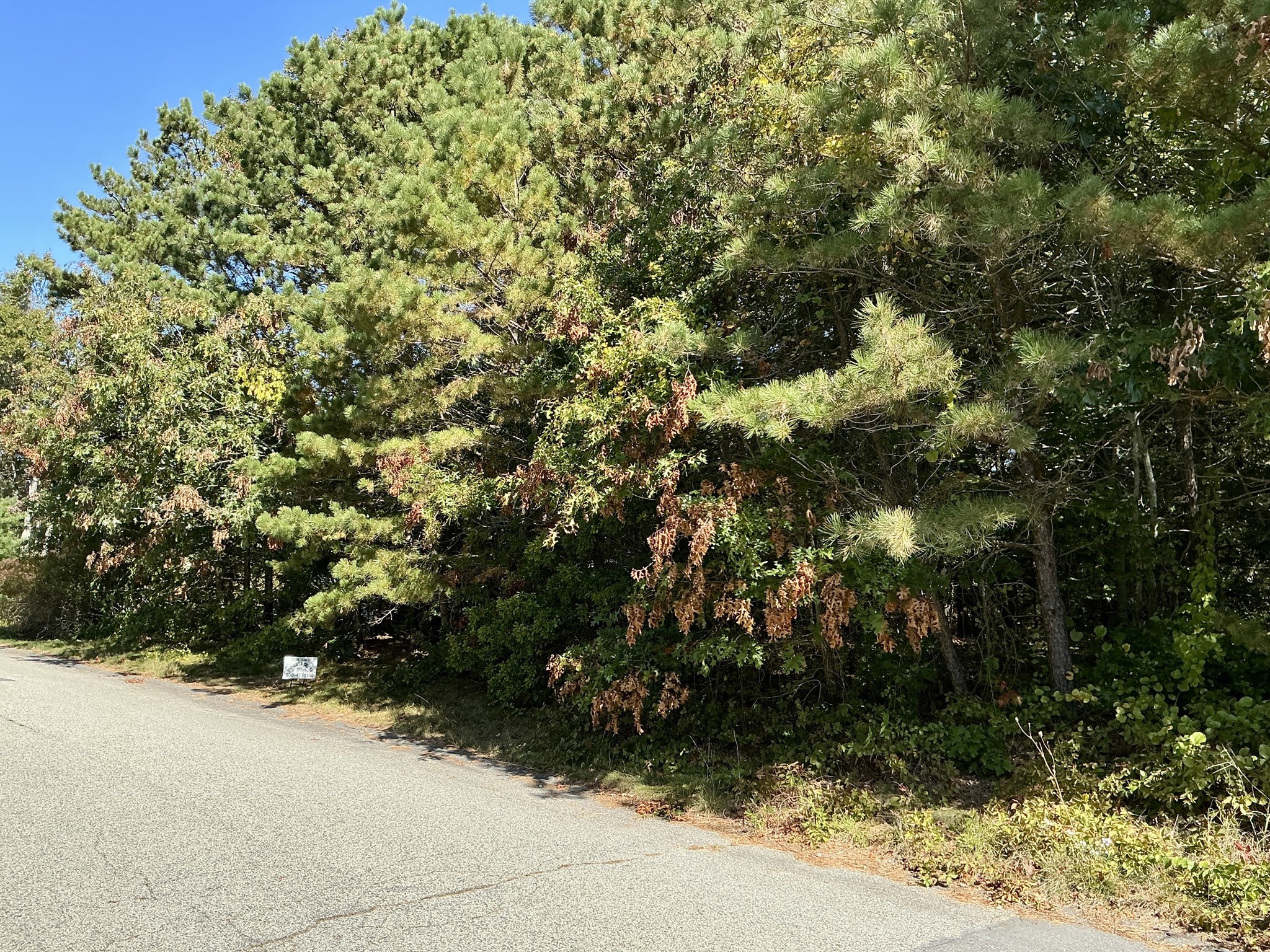 45 Fox Hill Rd, Mashpee, MA 02649 - Image 1