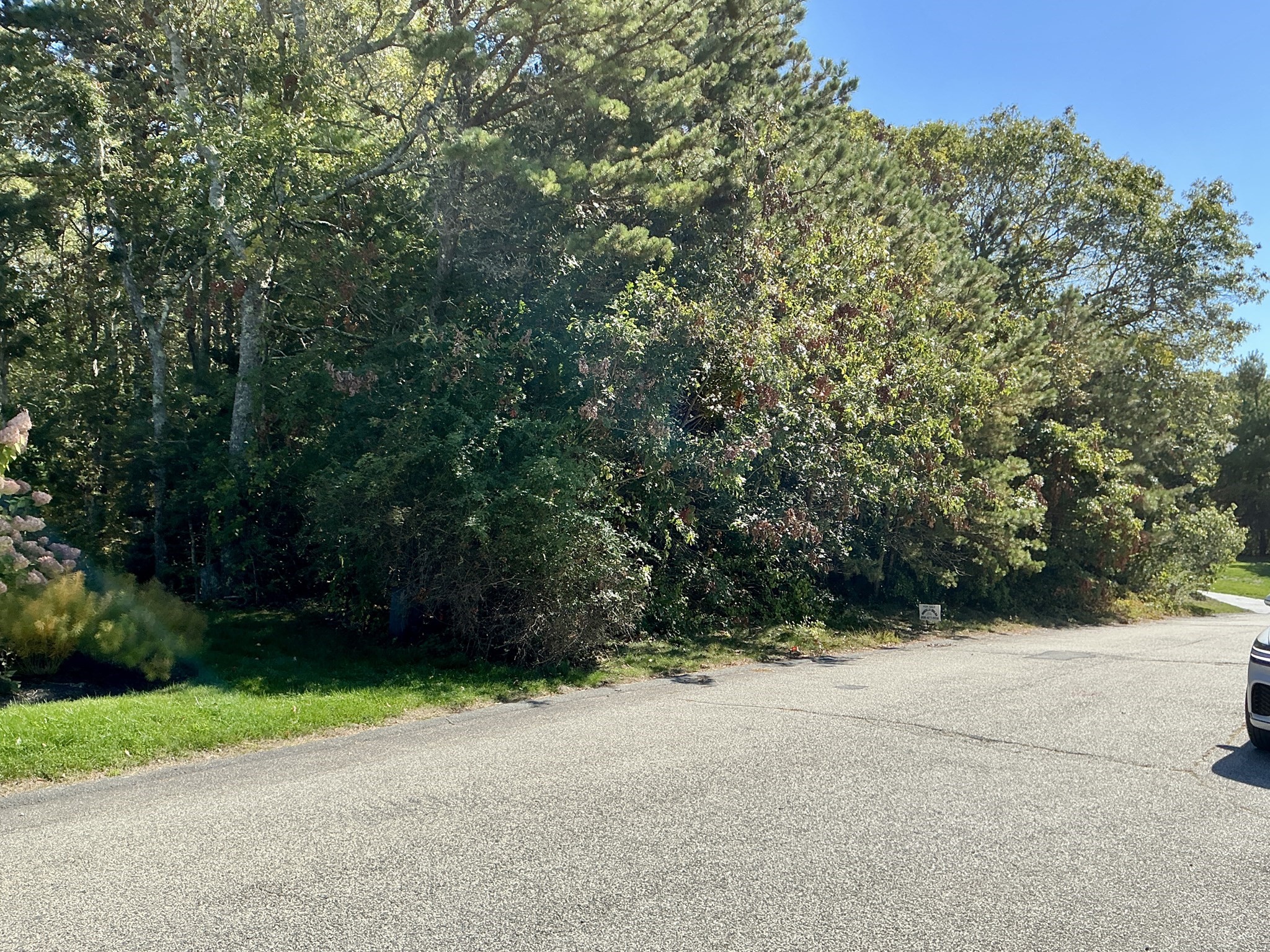 45 Fox Hill Rd, Mashpee, MA 02649 - Image 2