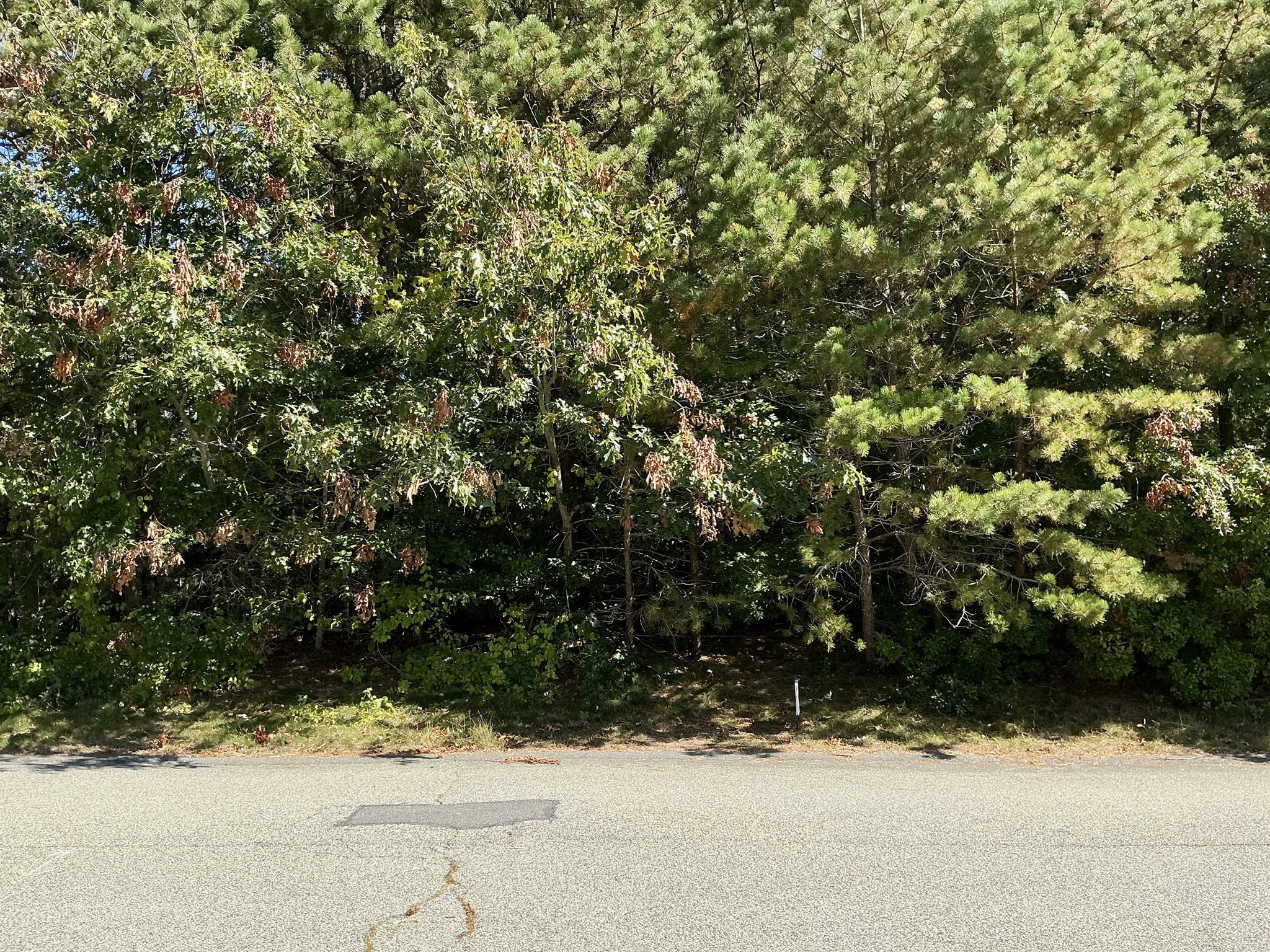 45 Fox Hill Rd, Mashpee, MA 02649 - Image 3