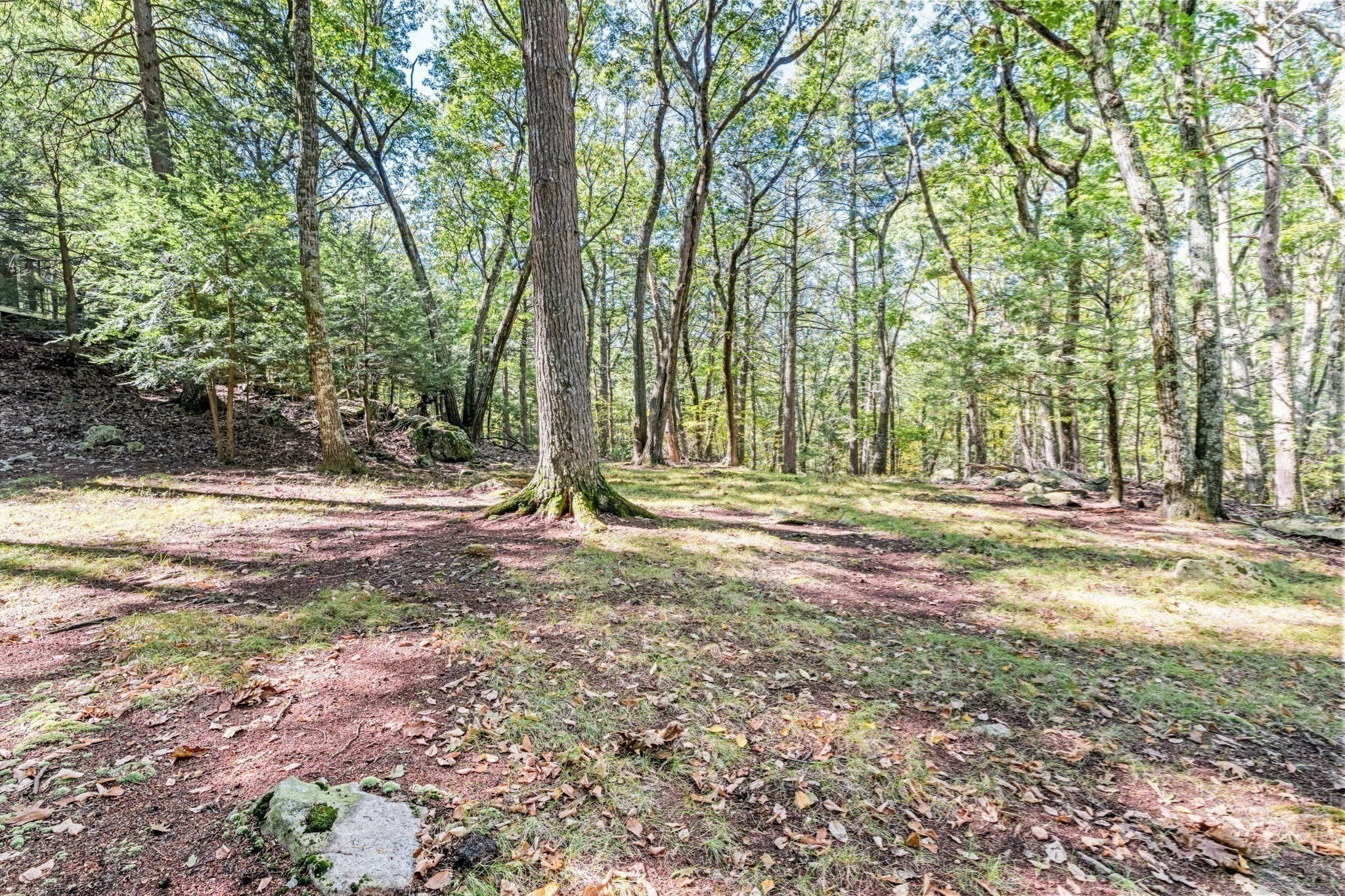 18 Wildwood Drive, Sherborn, MA 01770 - Image 31