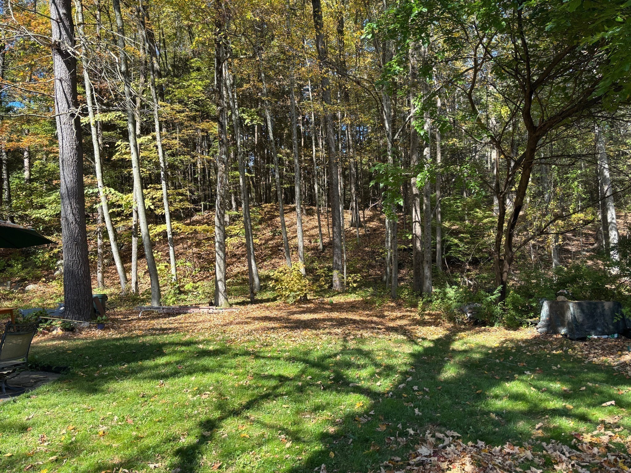 66 Laurel Park Unit 66, Northampton, MA 01060 - Image 26