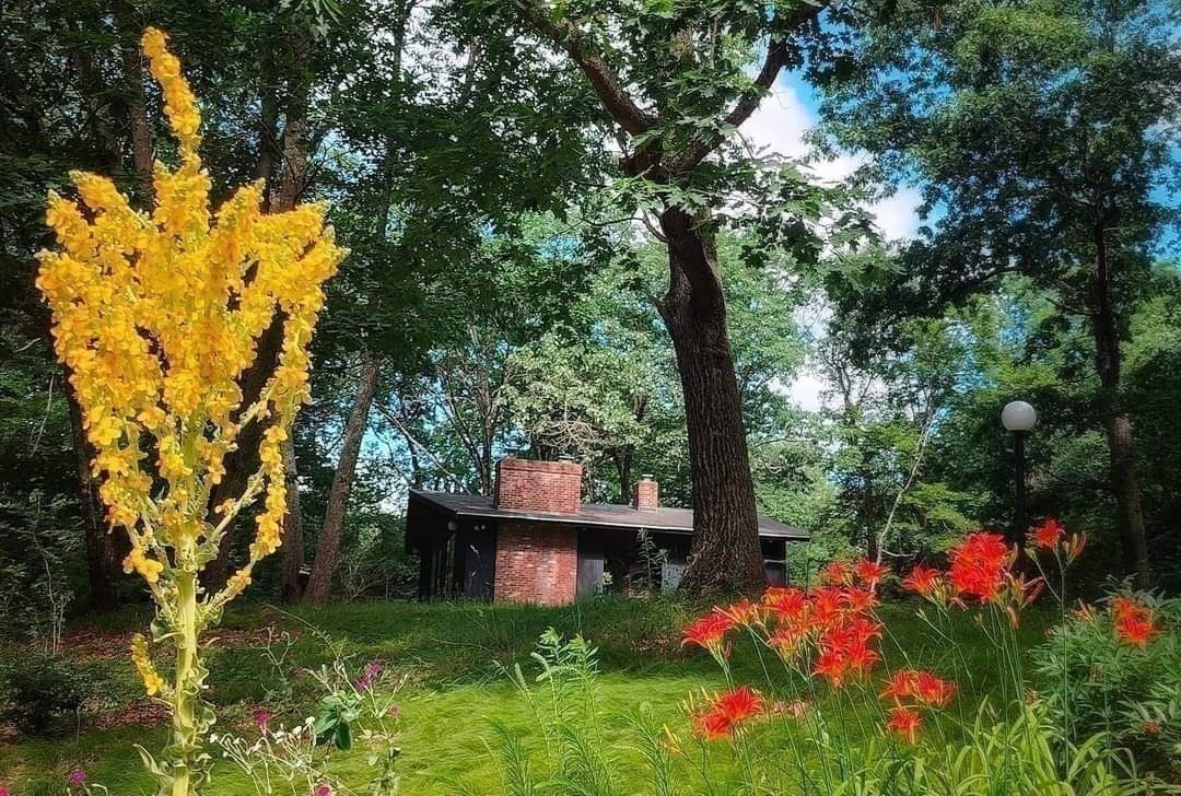 43 Belvedere Rd, Boxford, MA 01921 - Image 16