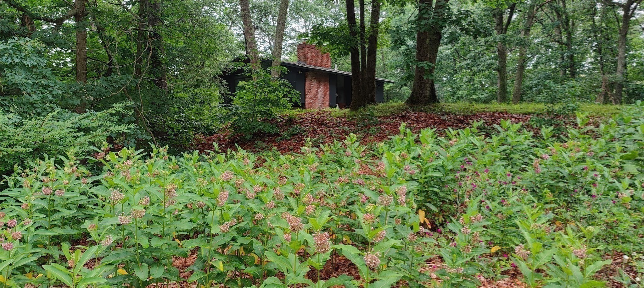 43 Belvedere Rd, Boxford, MA 01921 - Image 18