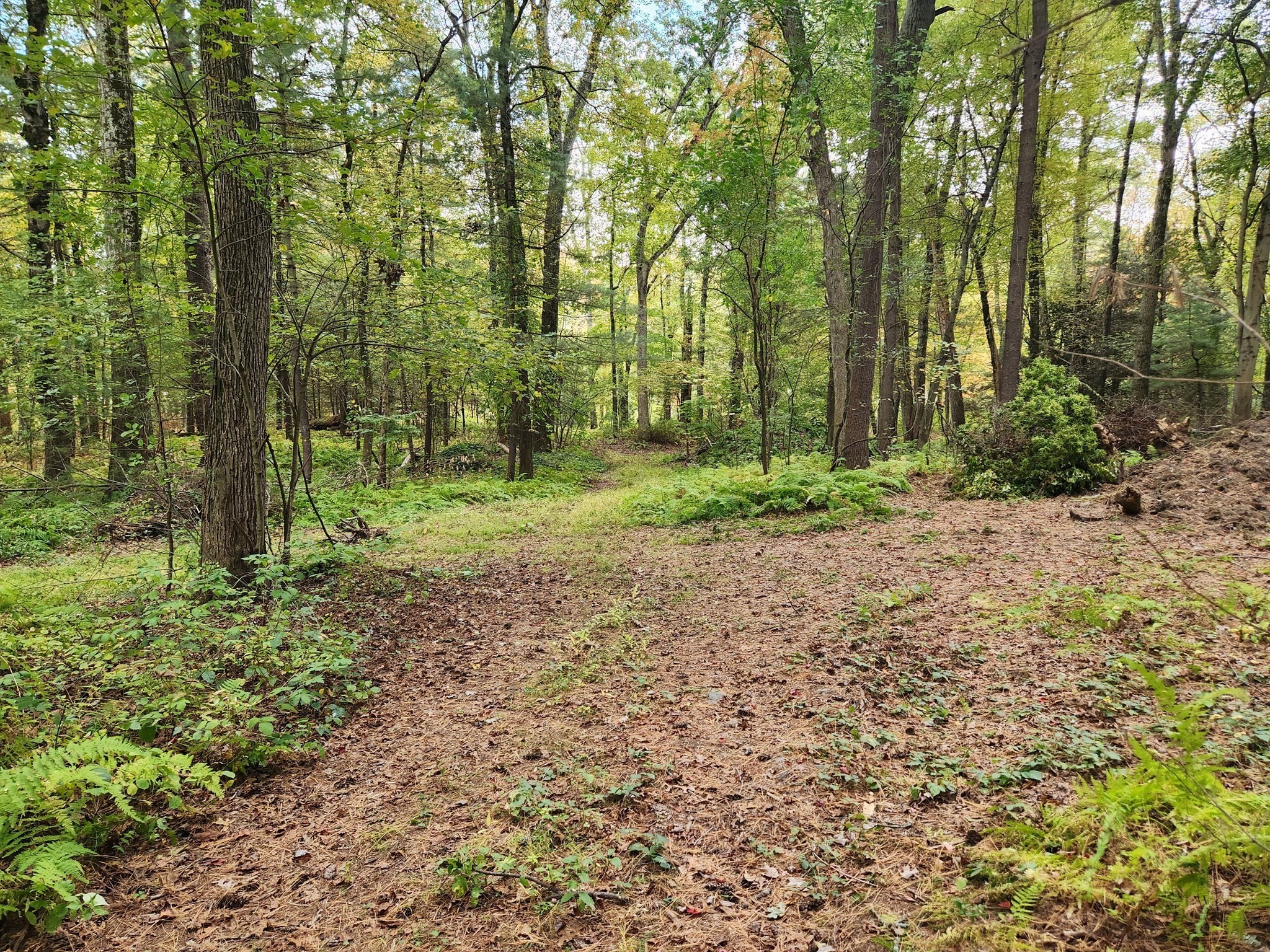 0 Chestnut St, East Longmeadow, MA 01028 - Image 8