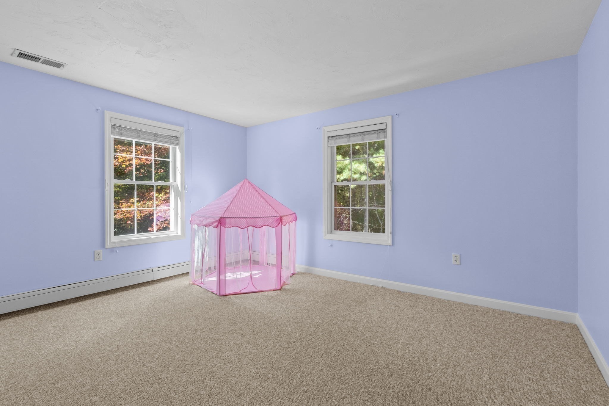 30 Broken Tree Rd, Medway, MA 02053 - Image 25