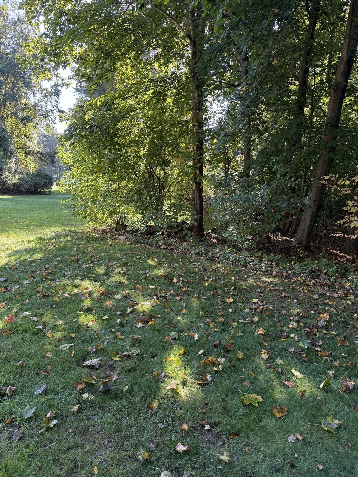 88 Village St Unit 88, Easton, MA 02375 - Image 3