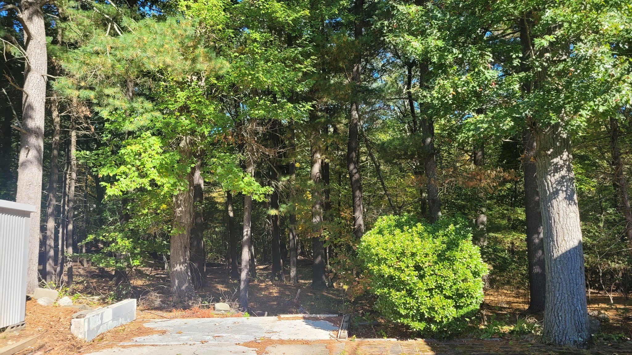 846 Broadway Unit 40, Saugus, MA 01906 - Image 4