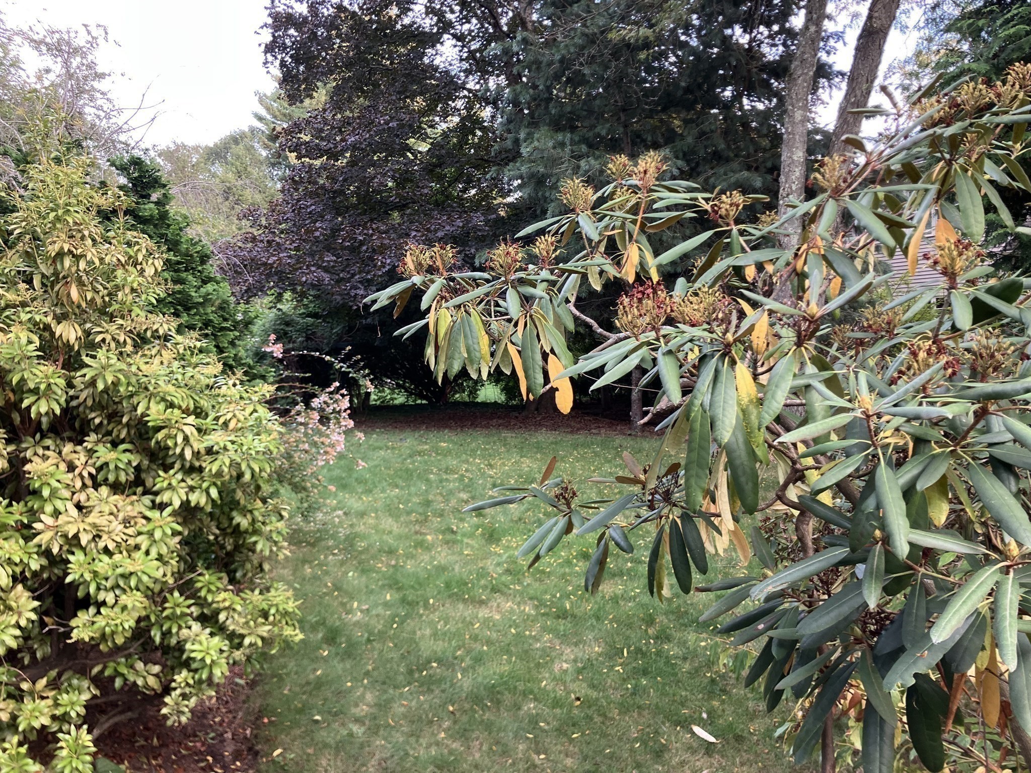 3 Glenoe Rd, Brookline, MA 02467 - Image 6