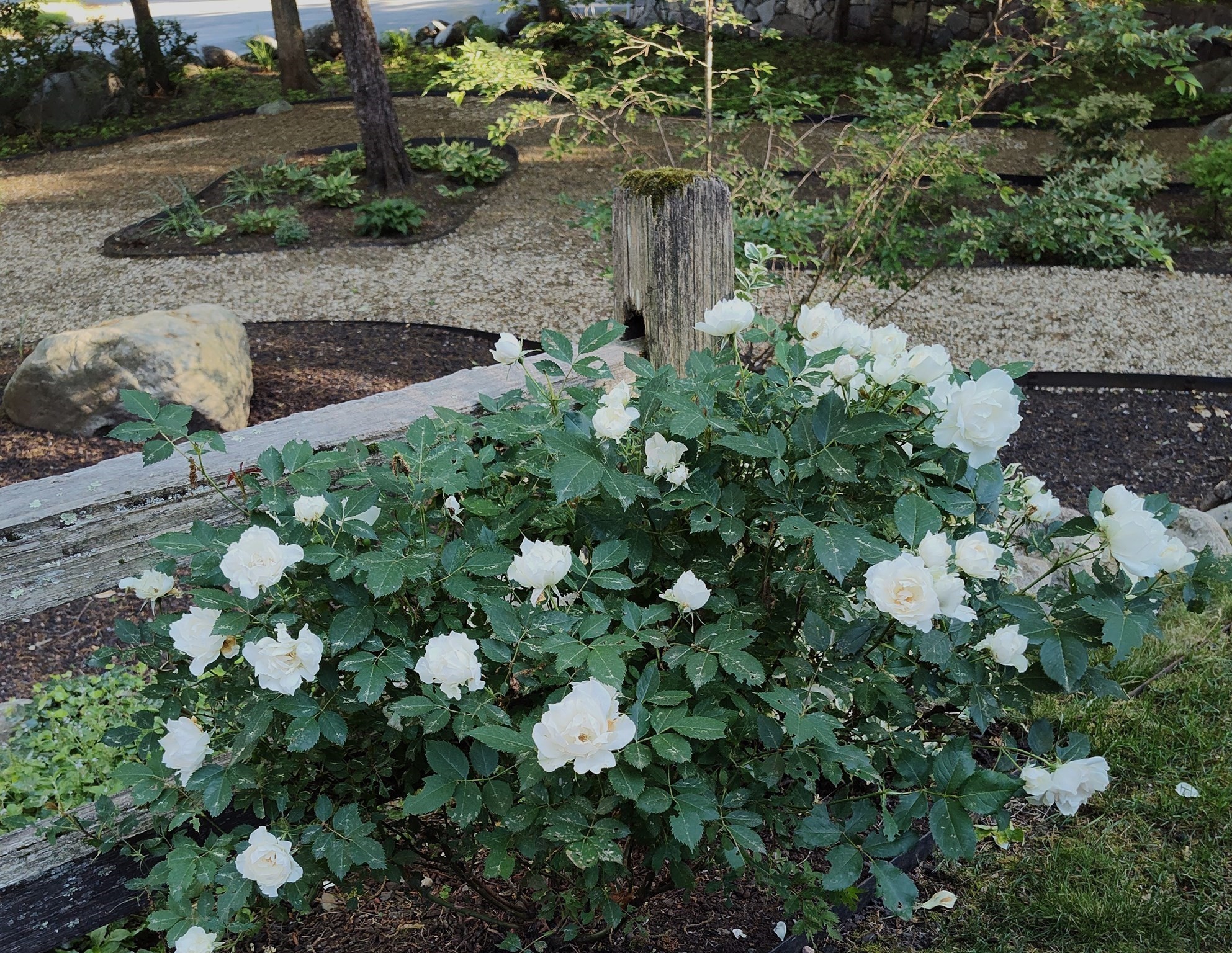 243 Spring Street, Shrewsbury, MA 01545 - Image 36