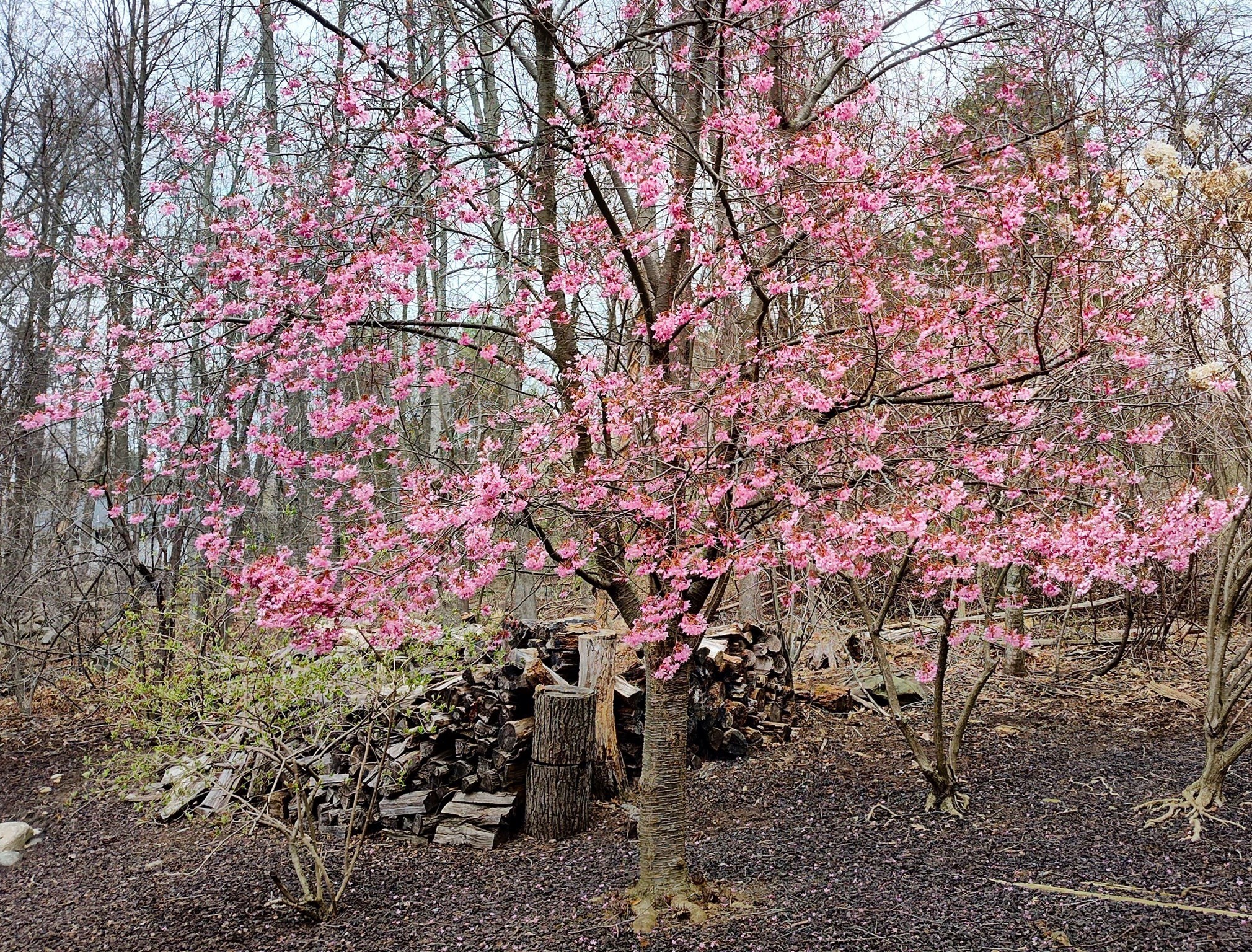 243 Spring Street, Shrewsbury, MA 01545 - Image 37