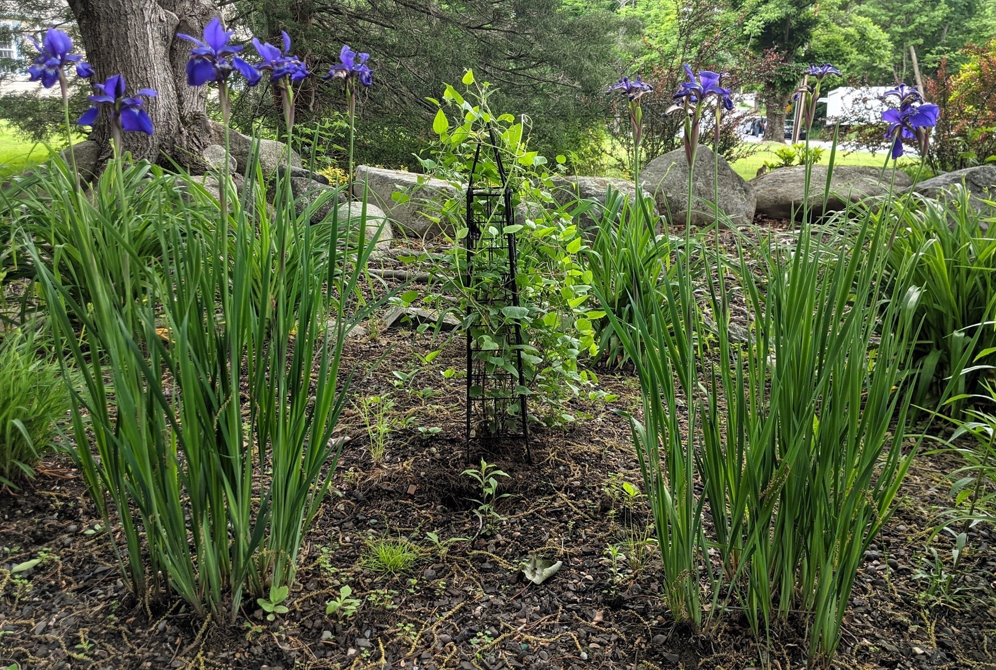 243 Spring Street, Shrewsbury, MA 01545 - Image 38