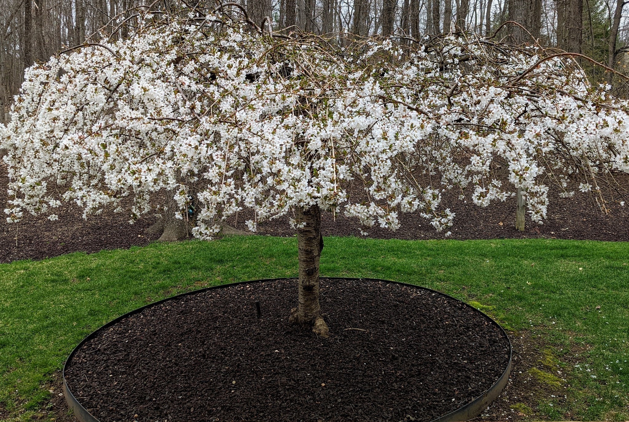 243 Spring Street, Shrewsbury, MA 01545 - Image 39