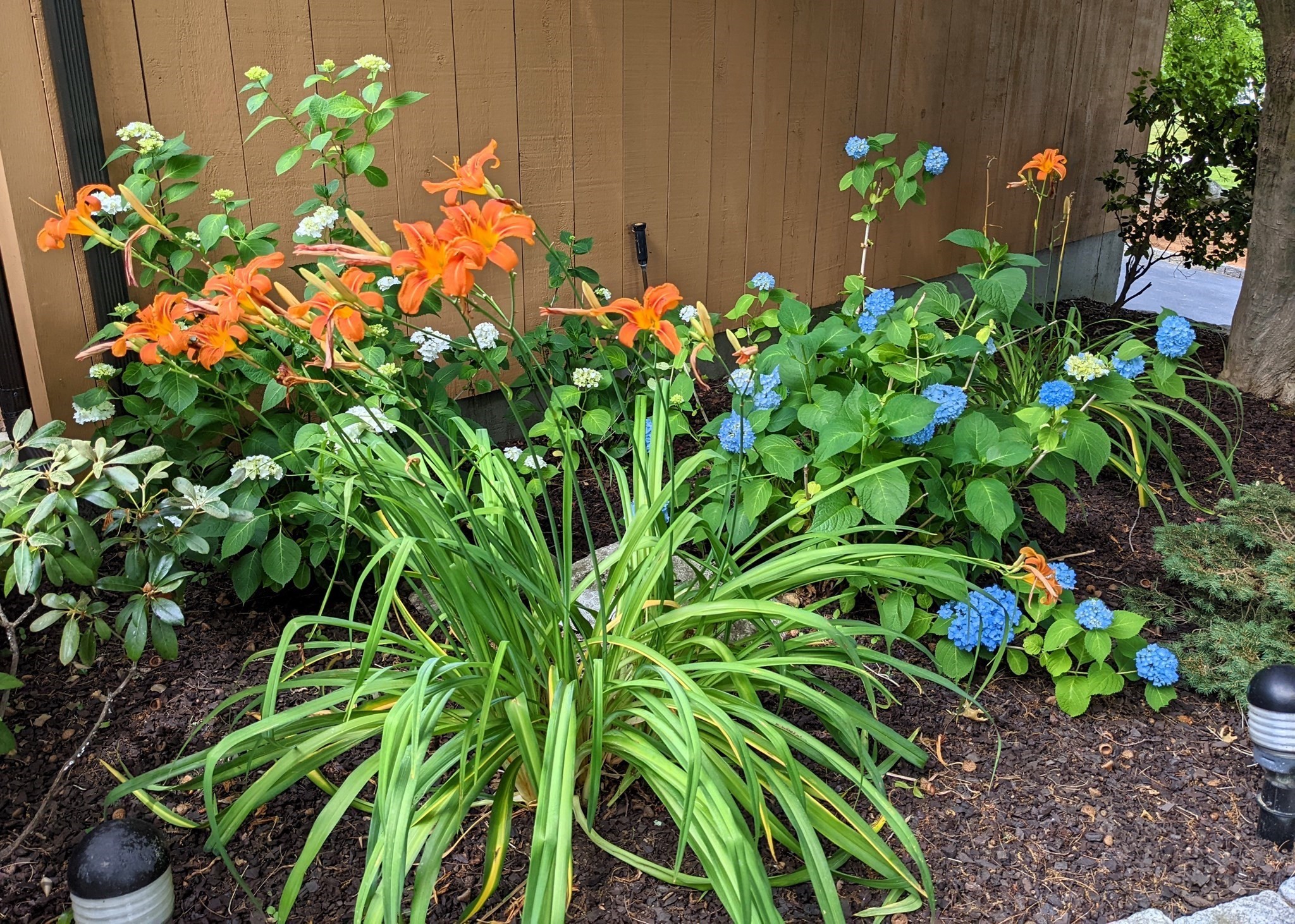 243 Spring Street, Shrewsbury, MA 01545 - Image 40