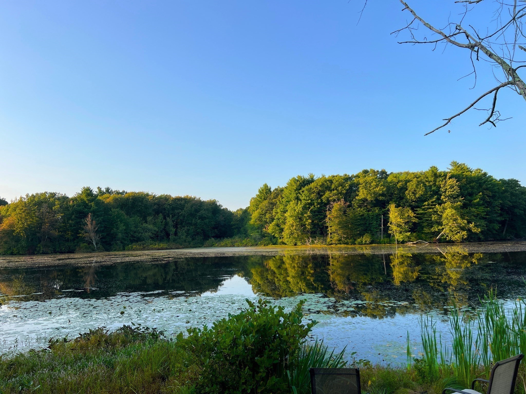 33 Zabelle Ave, Auburn, MA 01501 - Image 2