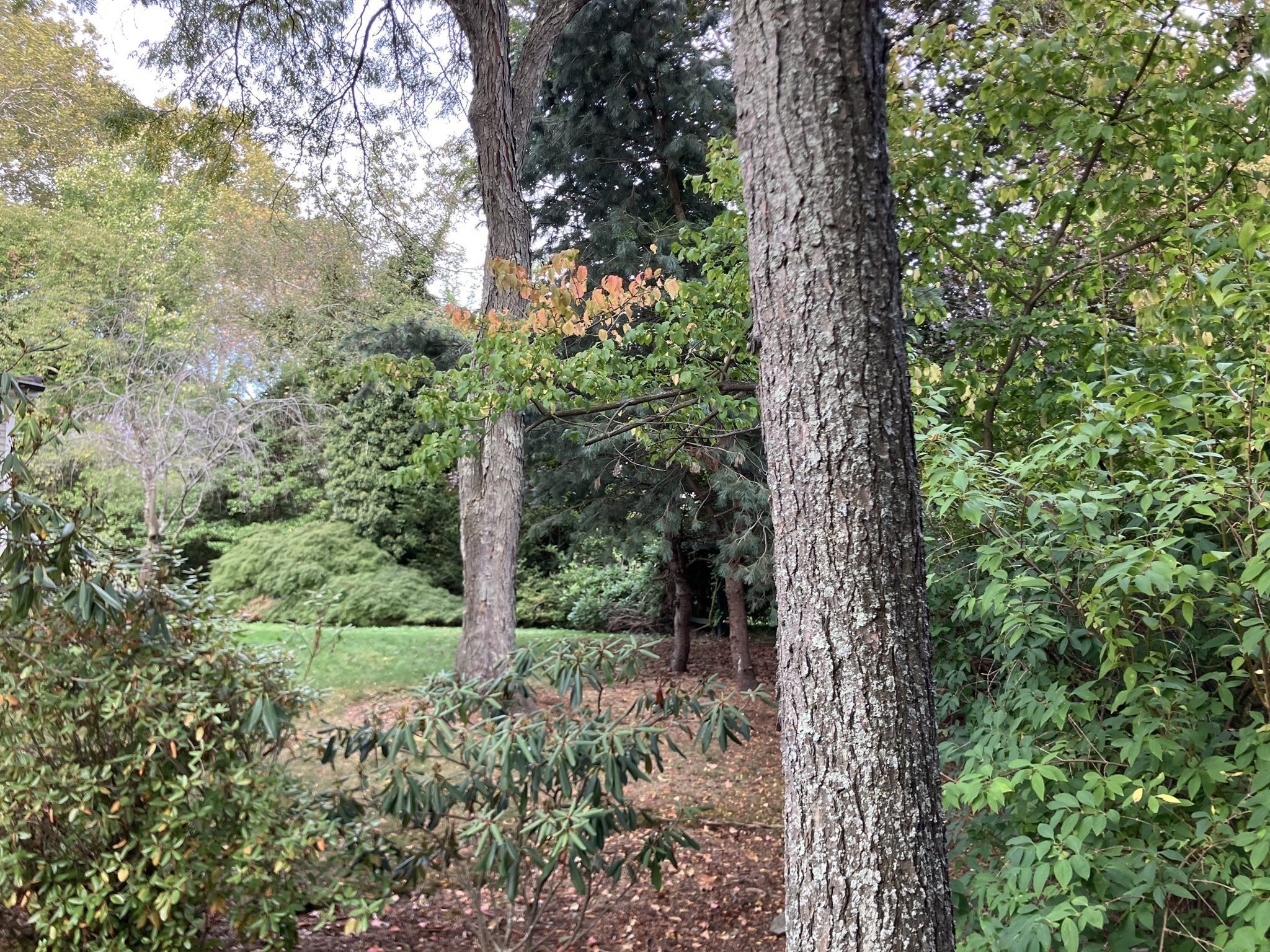 0 Glenoe Rd, Brookline, MA 02467 - Image 3