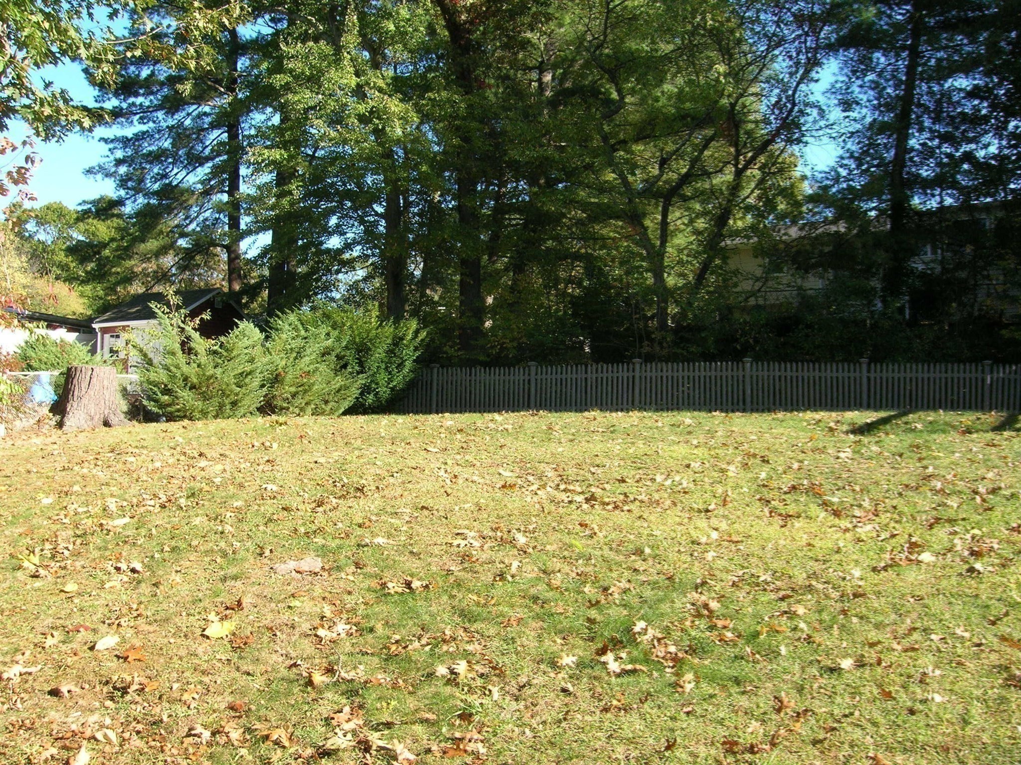 223 Robert Rd, Dedham, MA 02026 - Image 17