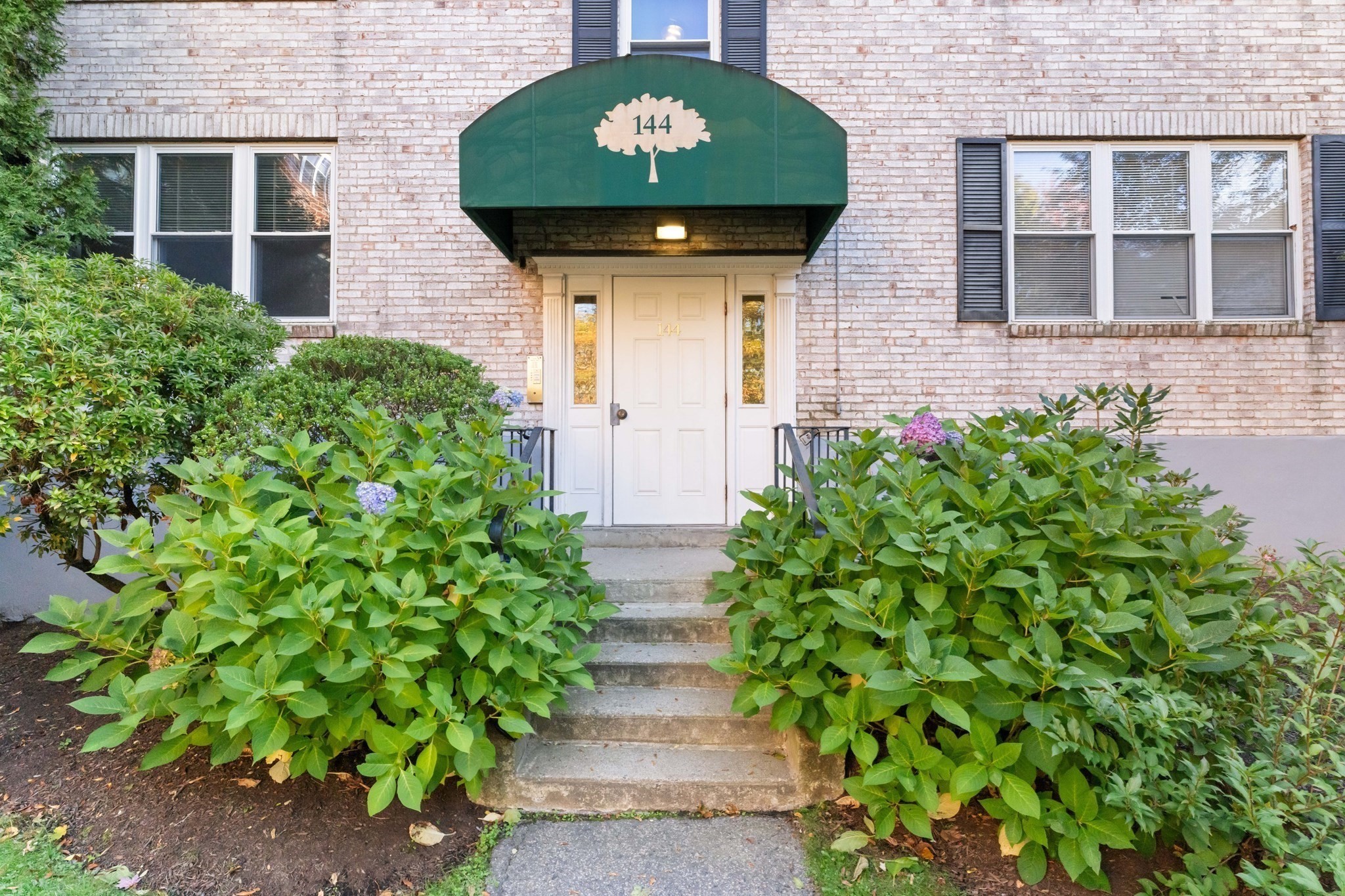 144 Newton Unit 1, Brighton, Boston, MA 02135 - Image 22