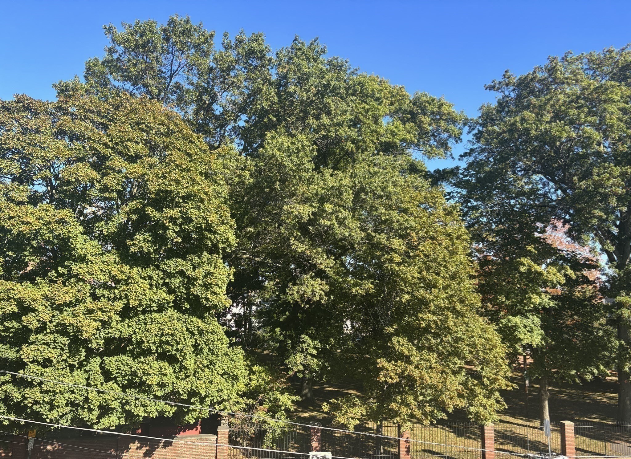 12 George St Unit 3, Medford, MA 02155 - Image 17