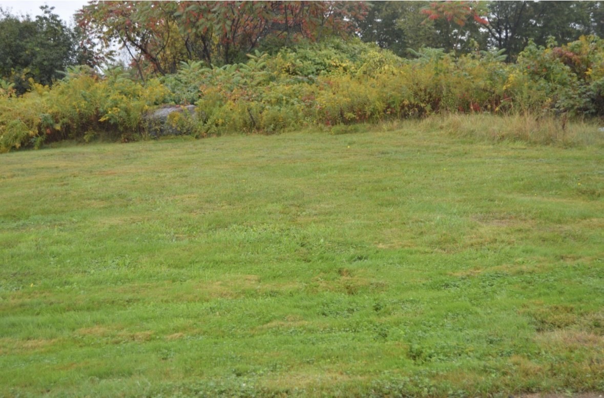 75 Potter Hill Rd, Grafton, MA 01519 - Image 2