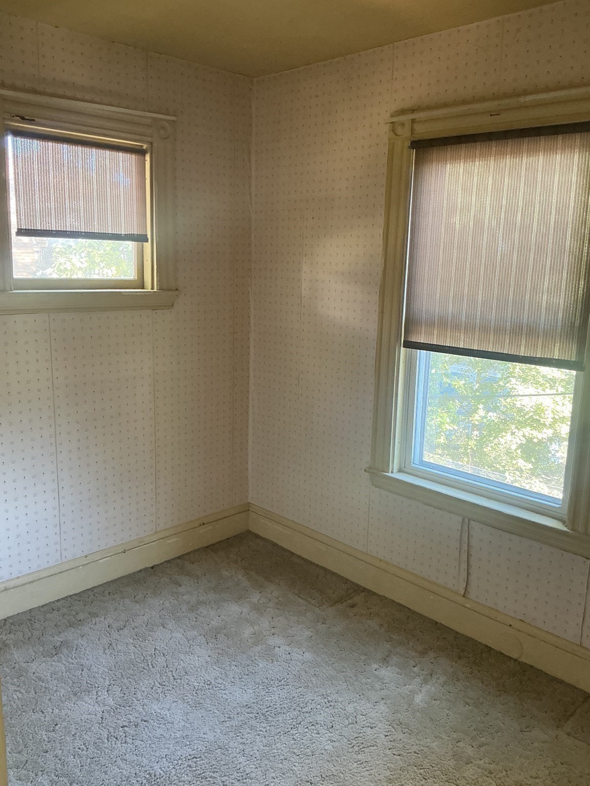 95 Newburg St, Roslindale, Boston, MA 02131 - Image 17