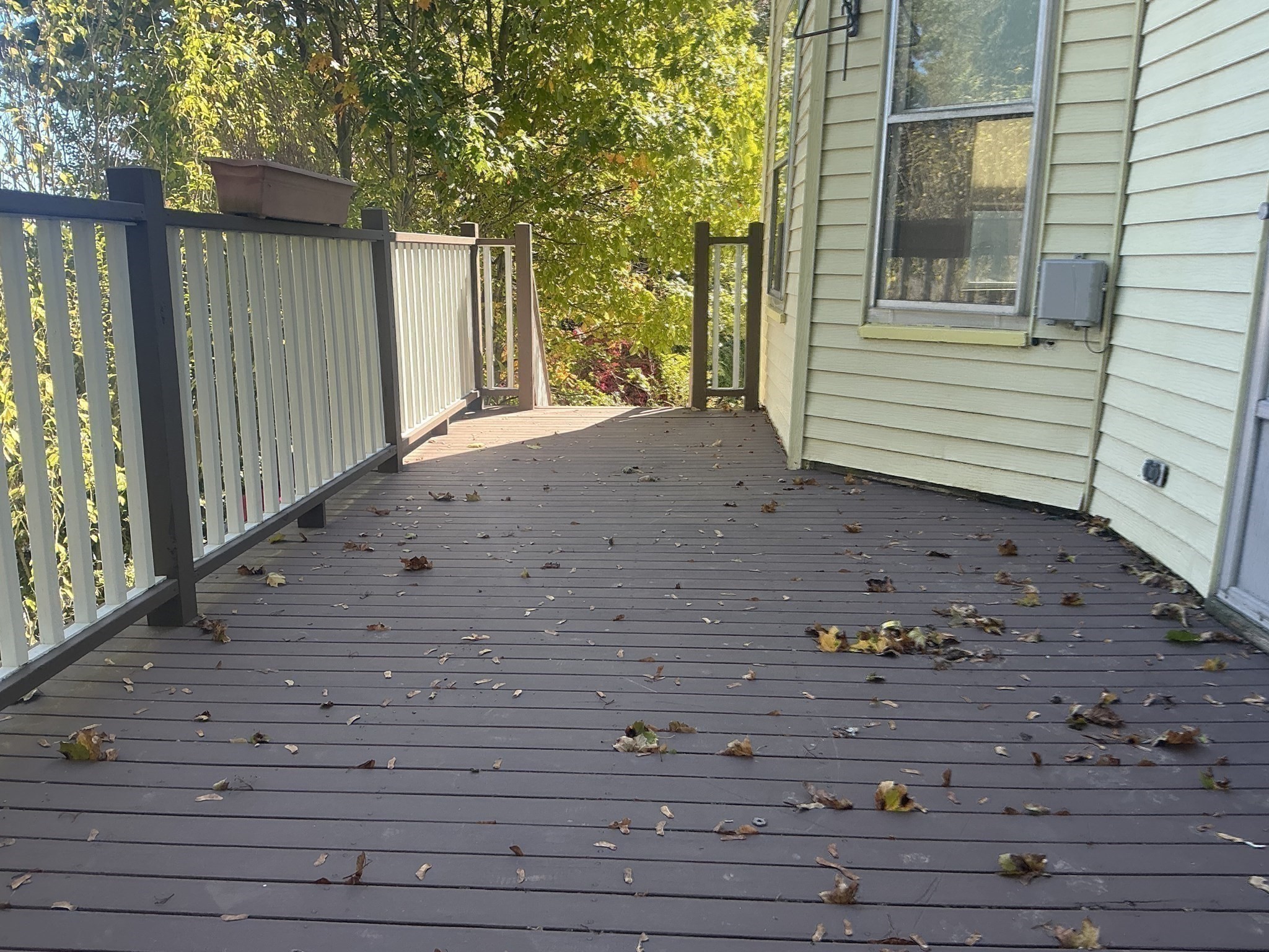 95 Newburg St, Roslindale, Boston, MA 02131 - Image 24