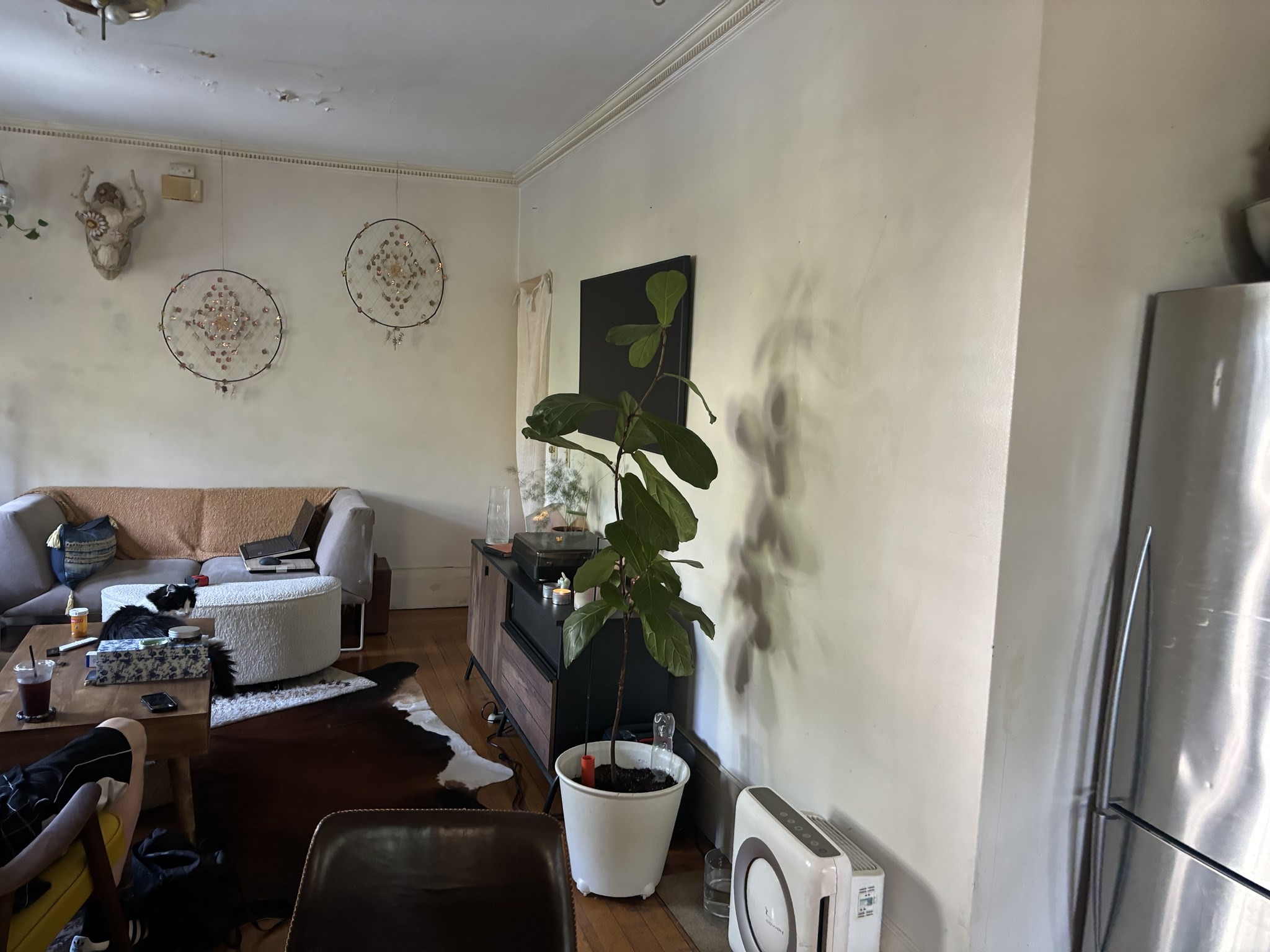 300 Faneuil St., Brighton, Boston, MA 02135 - Image 21