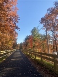 40 Nouvelle Way Unit N441, Natick, MA 01760 - Image 37