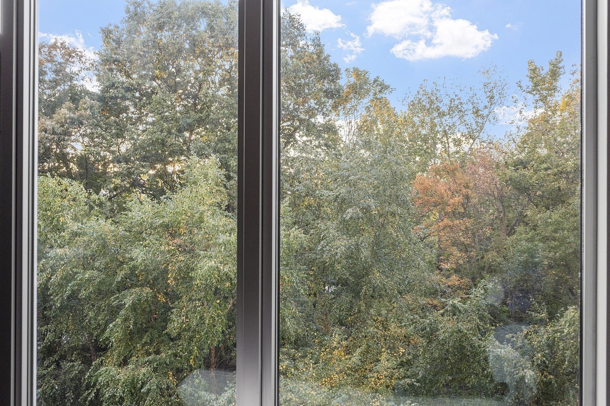 40 Nouvelle Way Unit N441, Natick, MA 01760 - Image 9