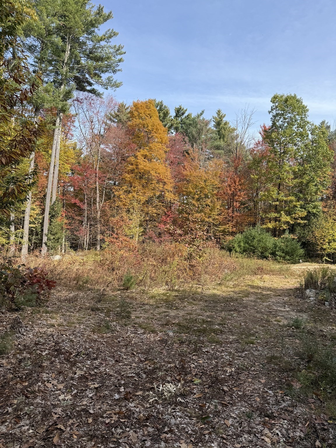 53 W Meadow Rd, Townsend, MA 01474 - Image 3