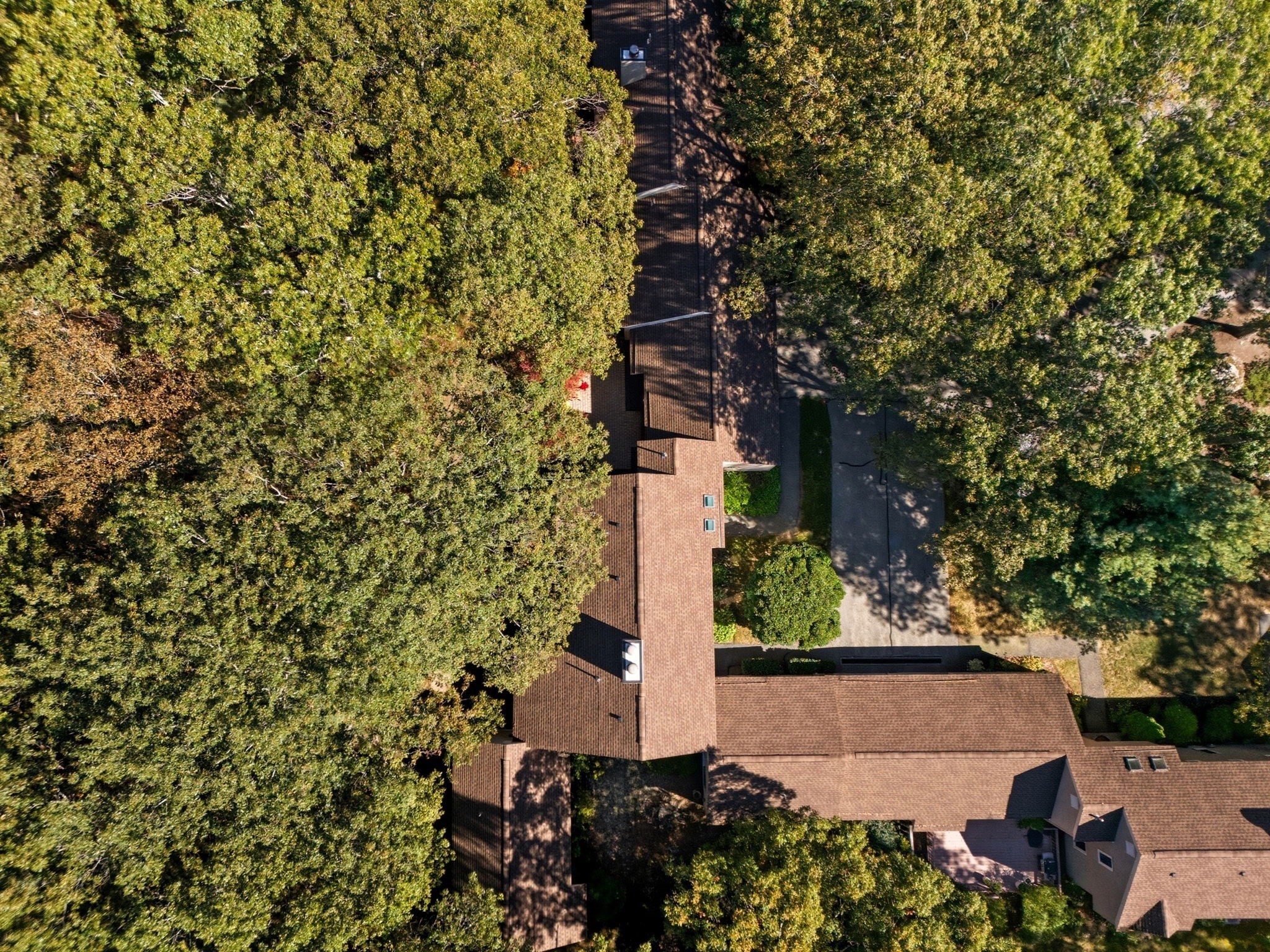 8 Fox Hollow Unit 8, Wayland, MA 01778 - Image 37