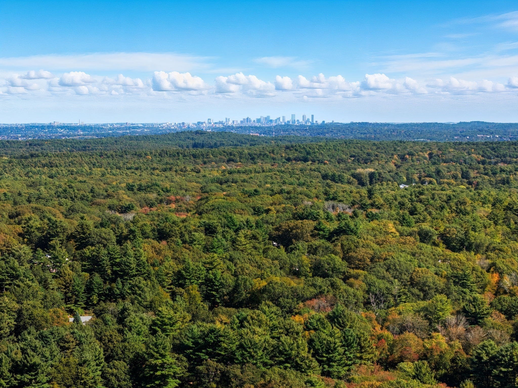 8 Fox Hollow Unit 8, Wayland, MA 01778 - Image 39