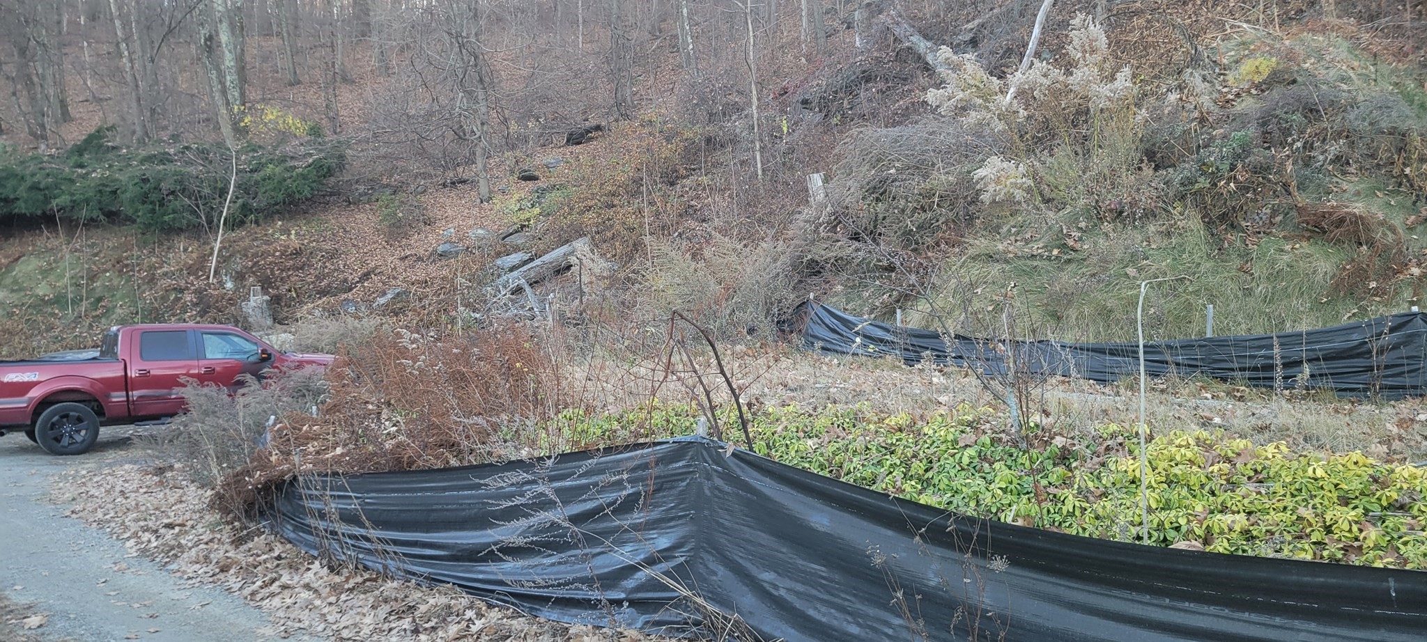 91 Natural History Drive, Worcester, MA 01604 - Image 3