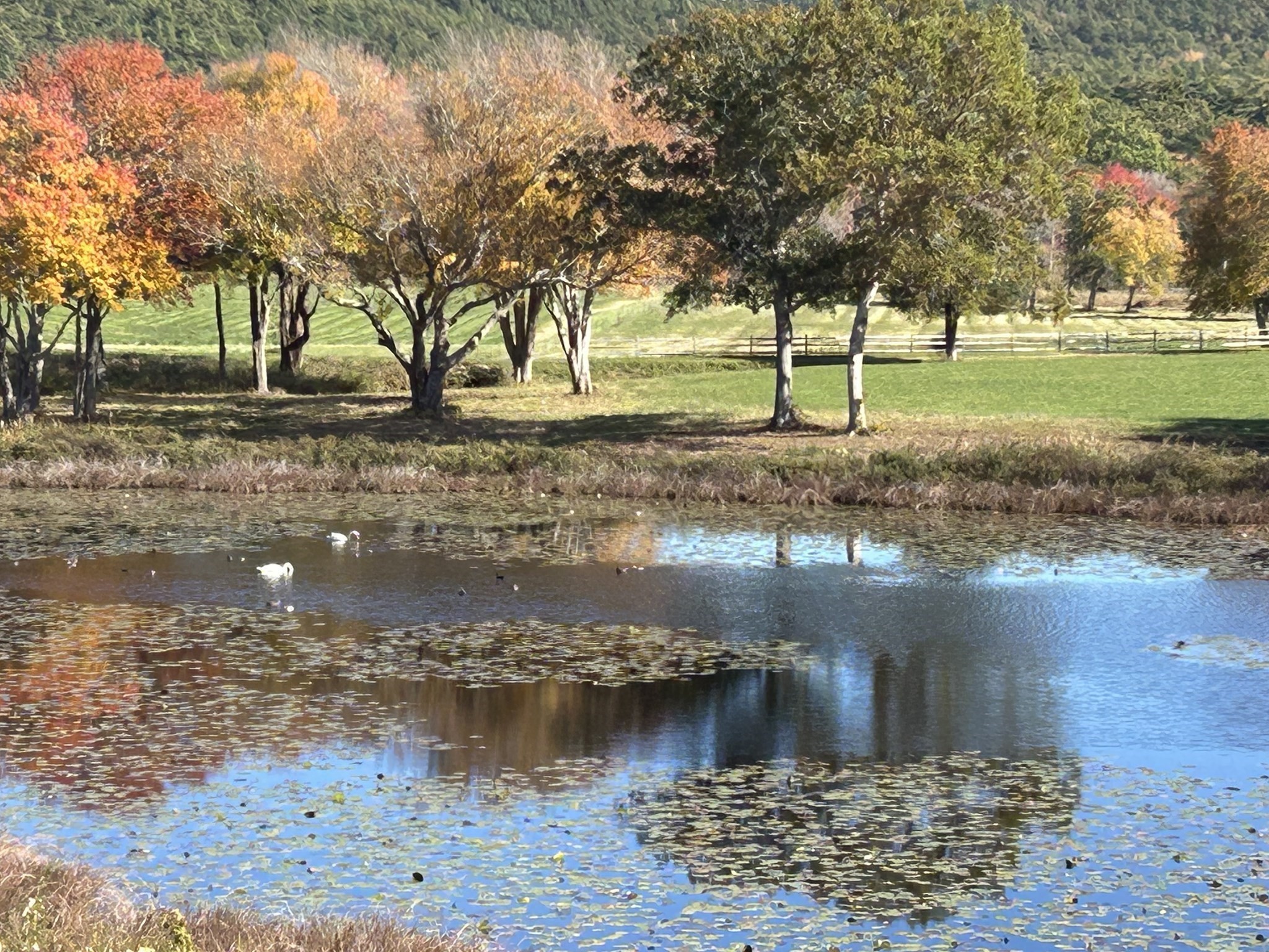 122 Clifford Rd, Plymouth, MA 02360 - Image 2