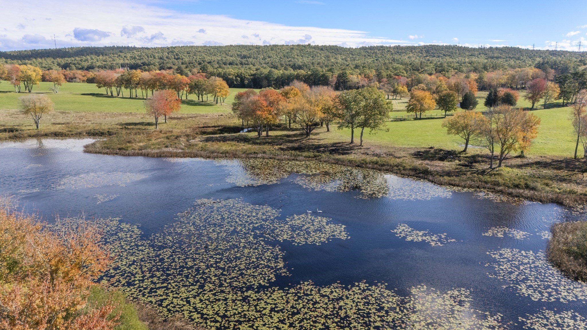 122 Clifford Rd, Plymouth, MA 02360 - Image 3