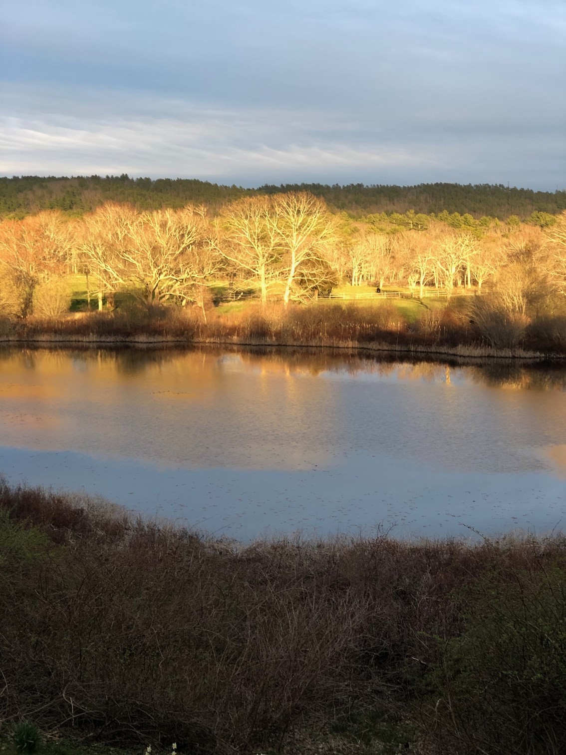 122 Clifford Rd, Plymouth, MA 02360 - Image 37