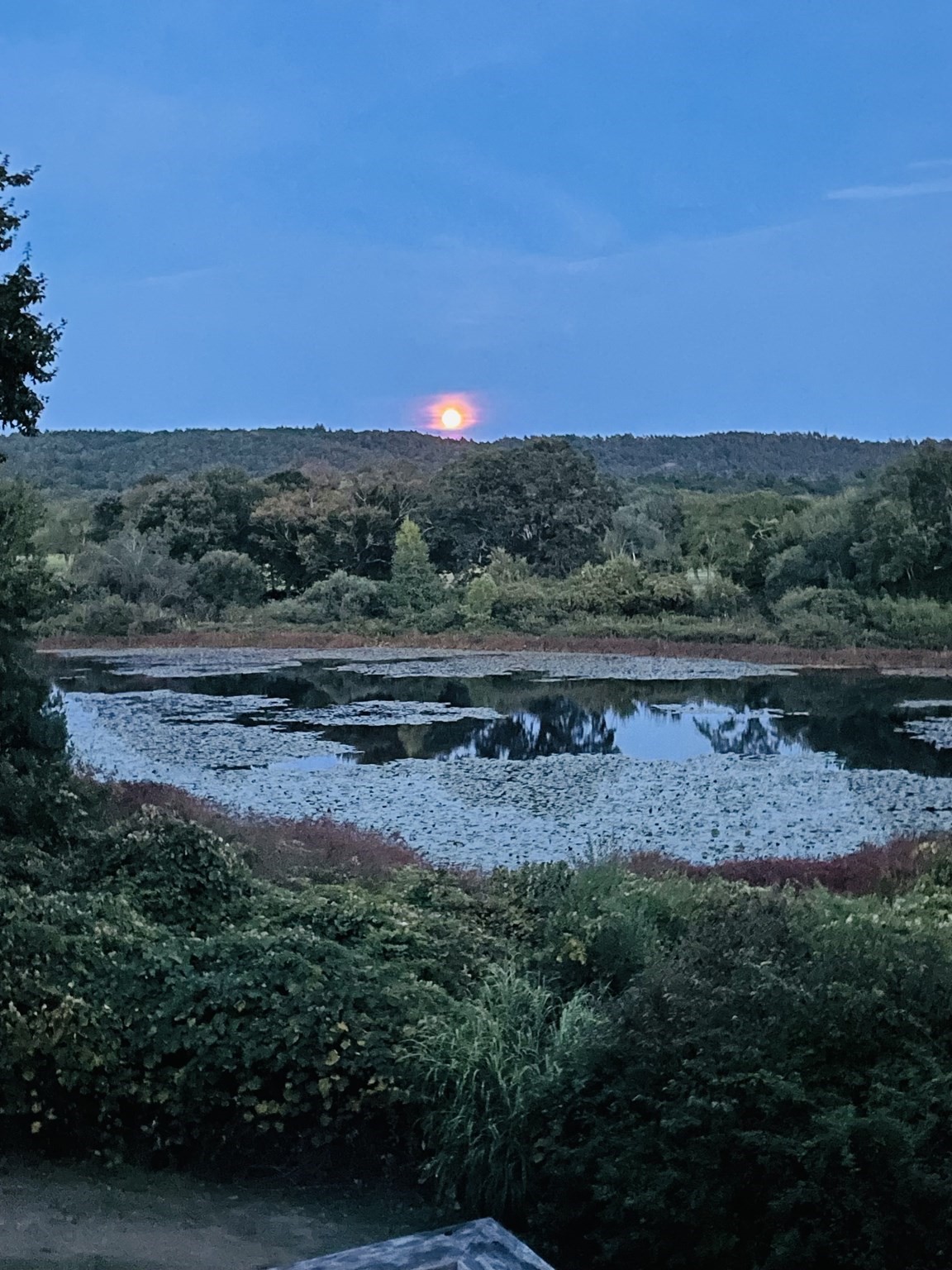 122 Clifford Rd, Plymouth, MA 02360 - Image 38