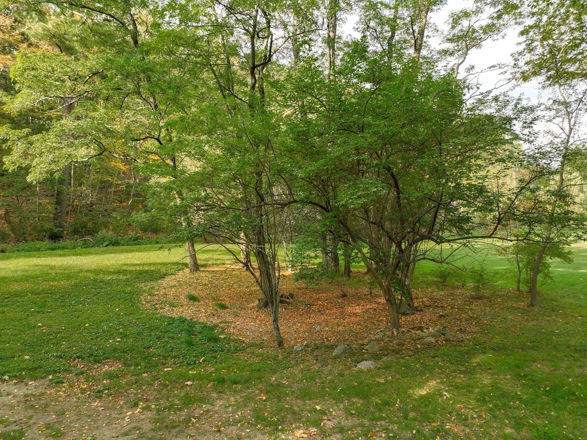 79 Goddard Avenue, Brookline, MA 02445 - Image 11