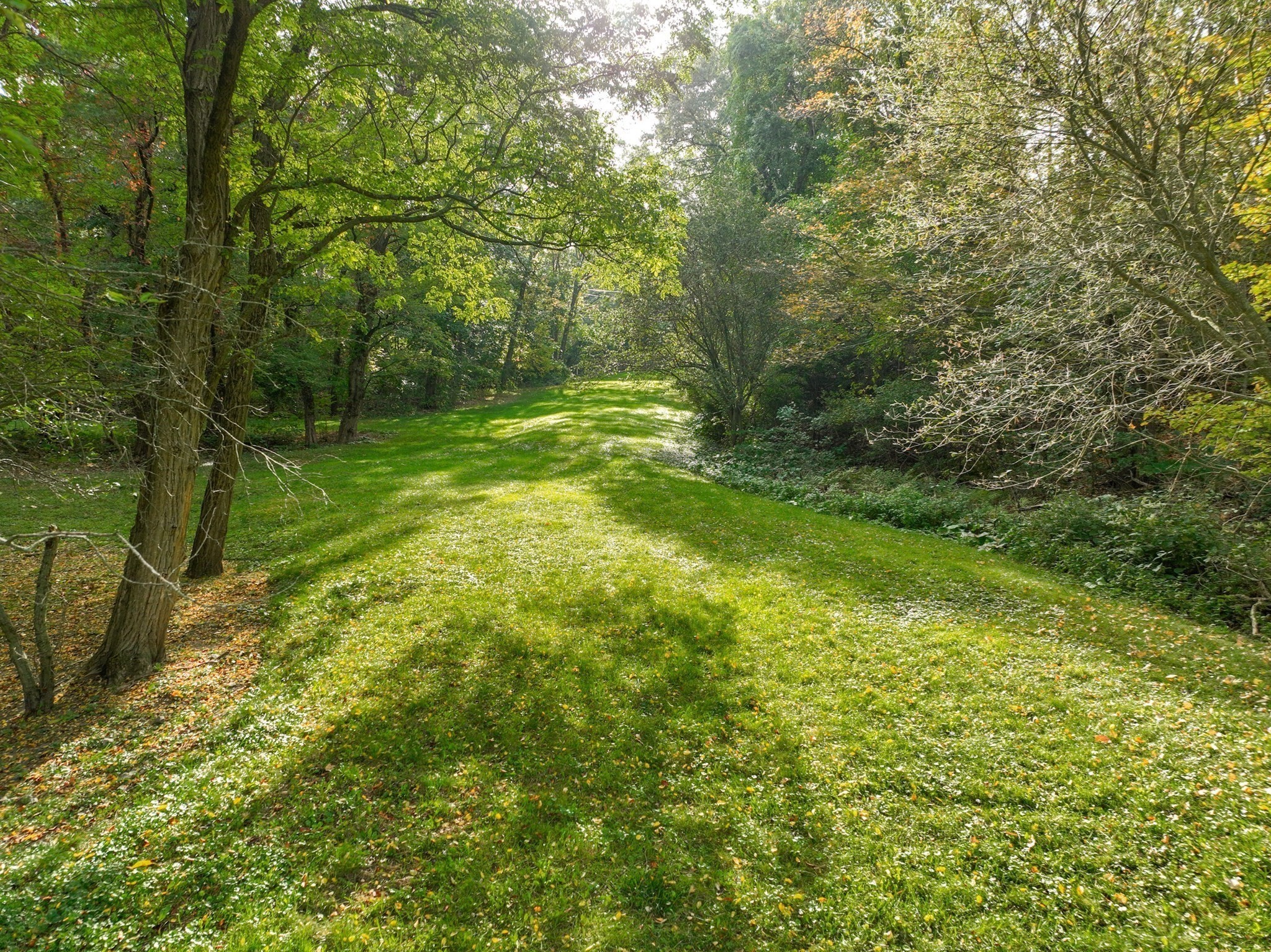 79 Goddard Avenue, Brookline, MA 02445 - Image 12