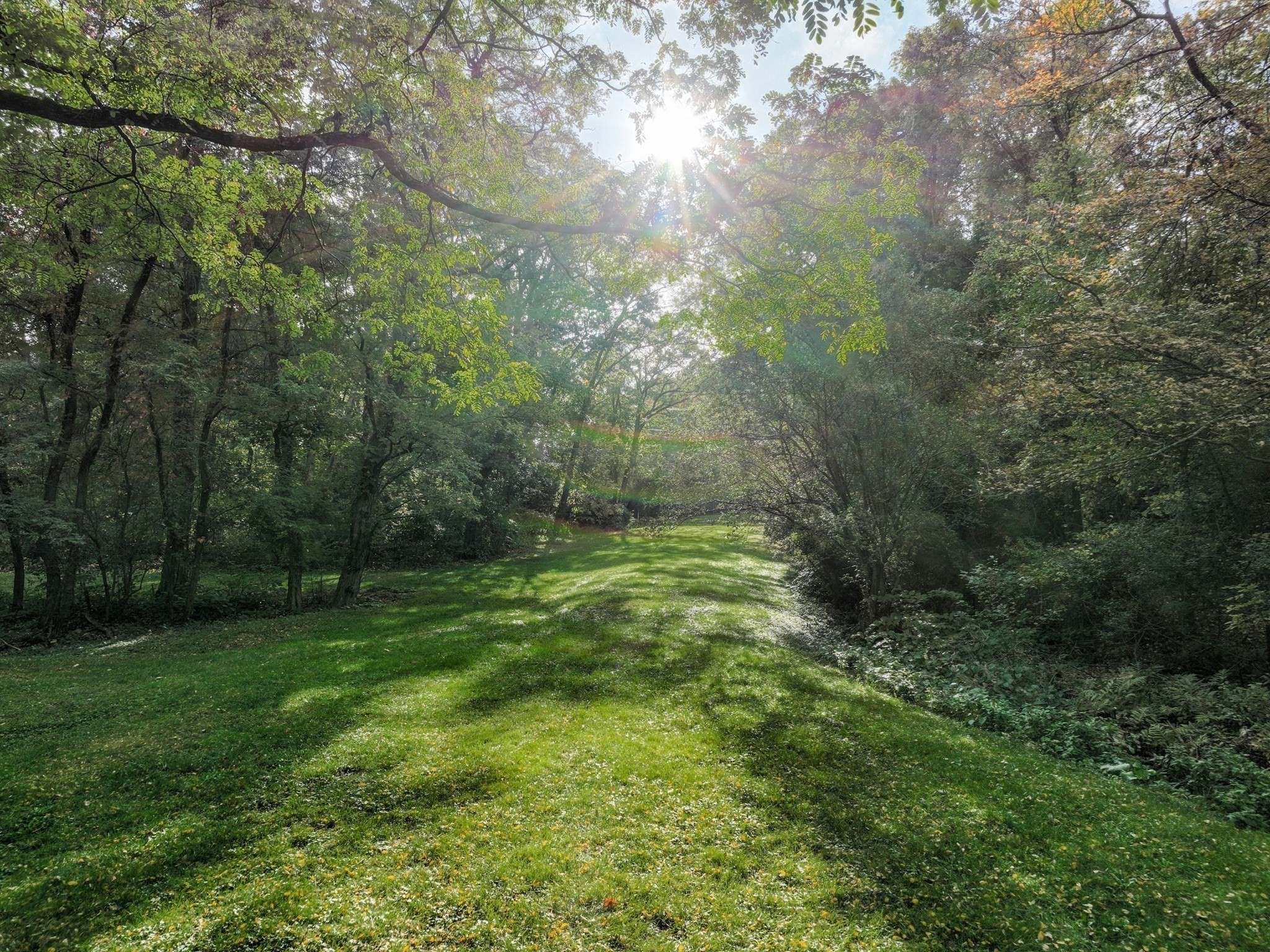 79 Goddard Avenue, Brookline, MA 02445 - Image 13