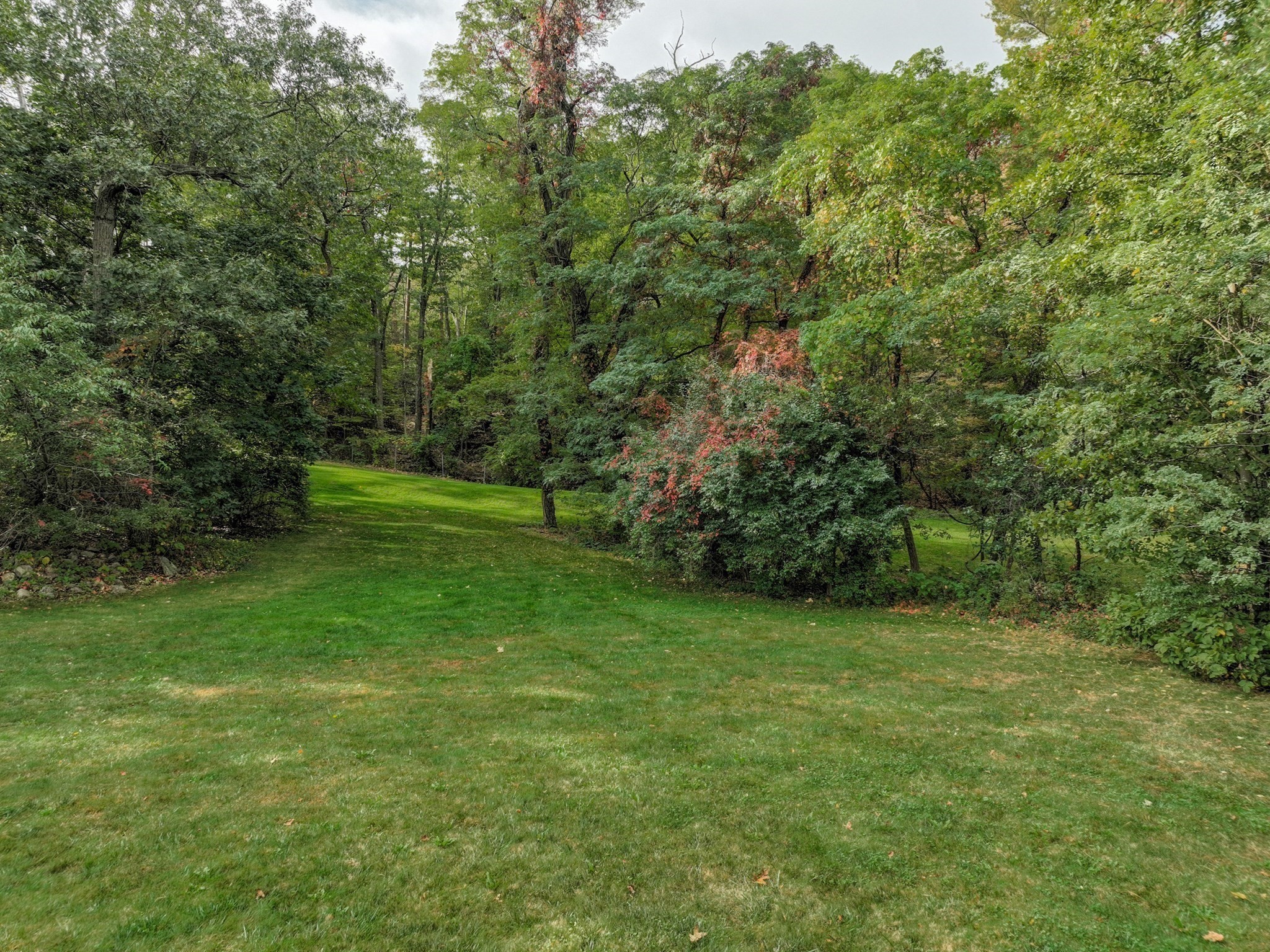 79 Goddard Avenue, Brookline, MA 02445 - Image 14