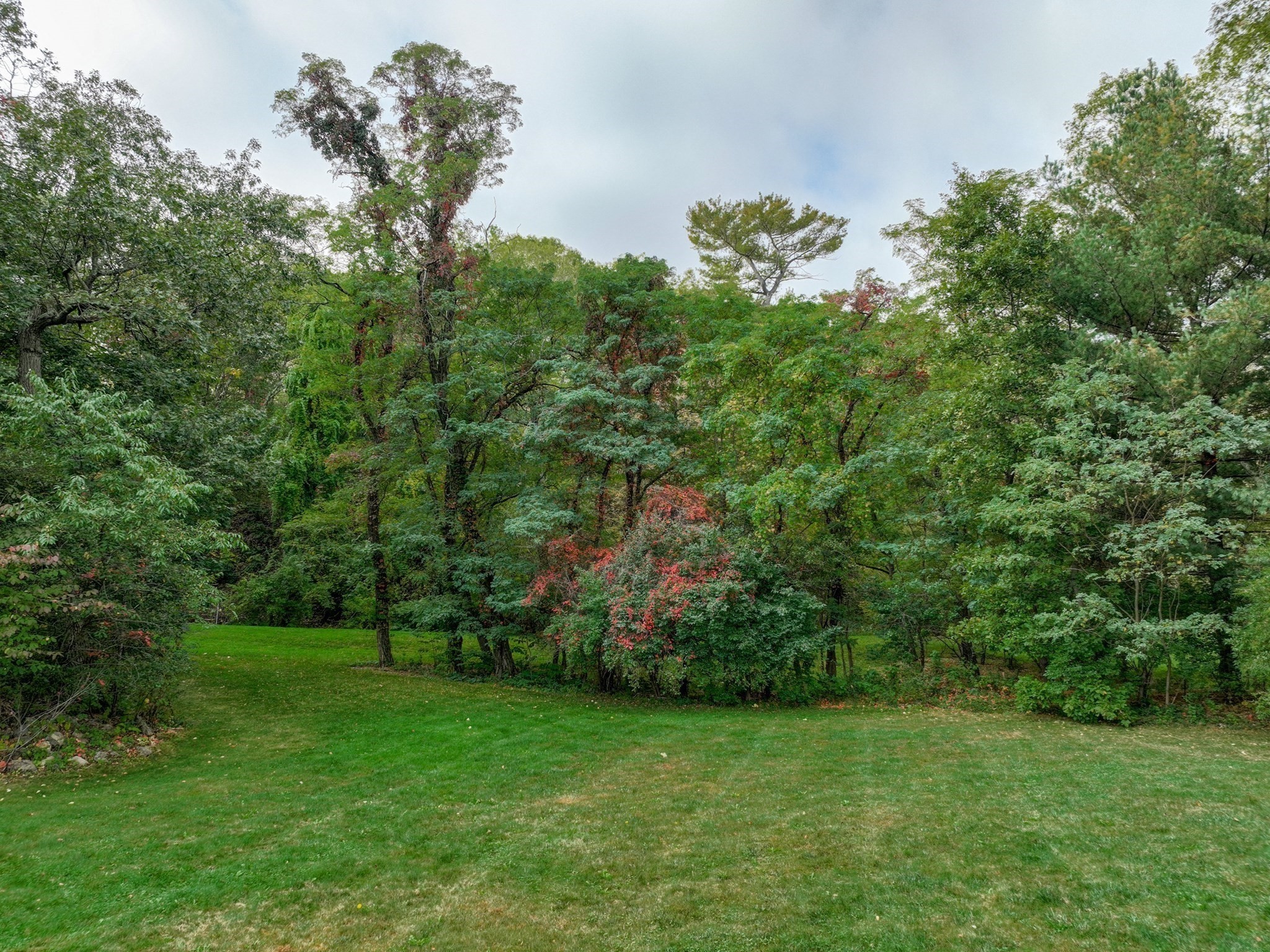 79 Goddard Avenue, Brookline, MA 02445 - Image 15