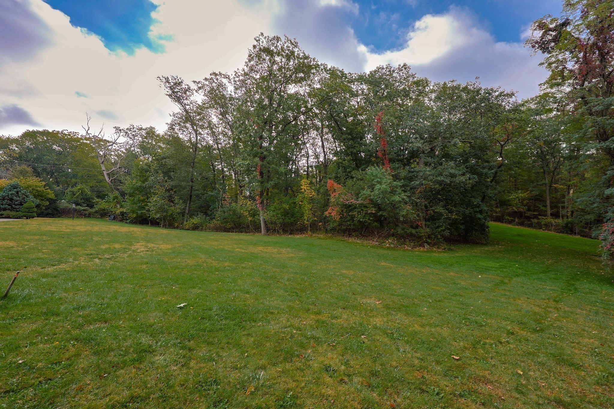 79 Goddard Avenue, Brookline, MA 02445 - Image 16