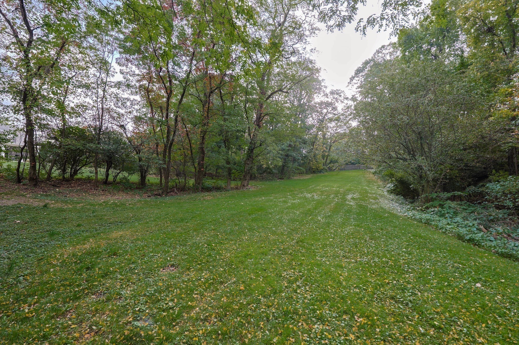 79 Goddard Avenue, Brookline, MA 02445 - Image 21