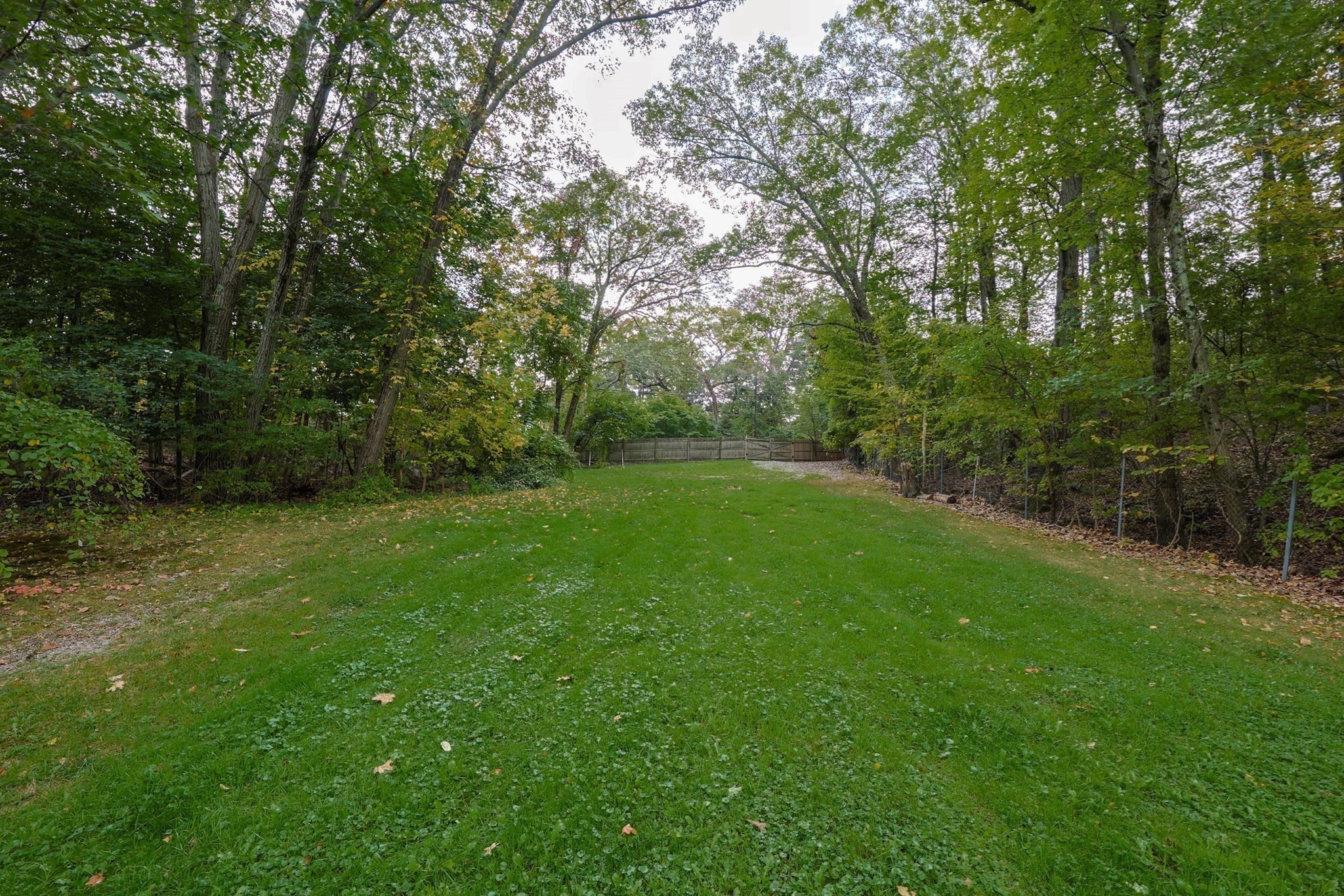 79 Goddard Avenue, Brookline, MA 02445 - Image 22